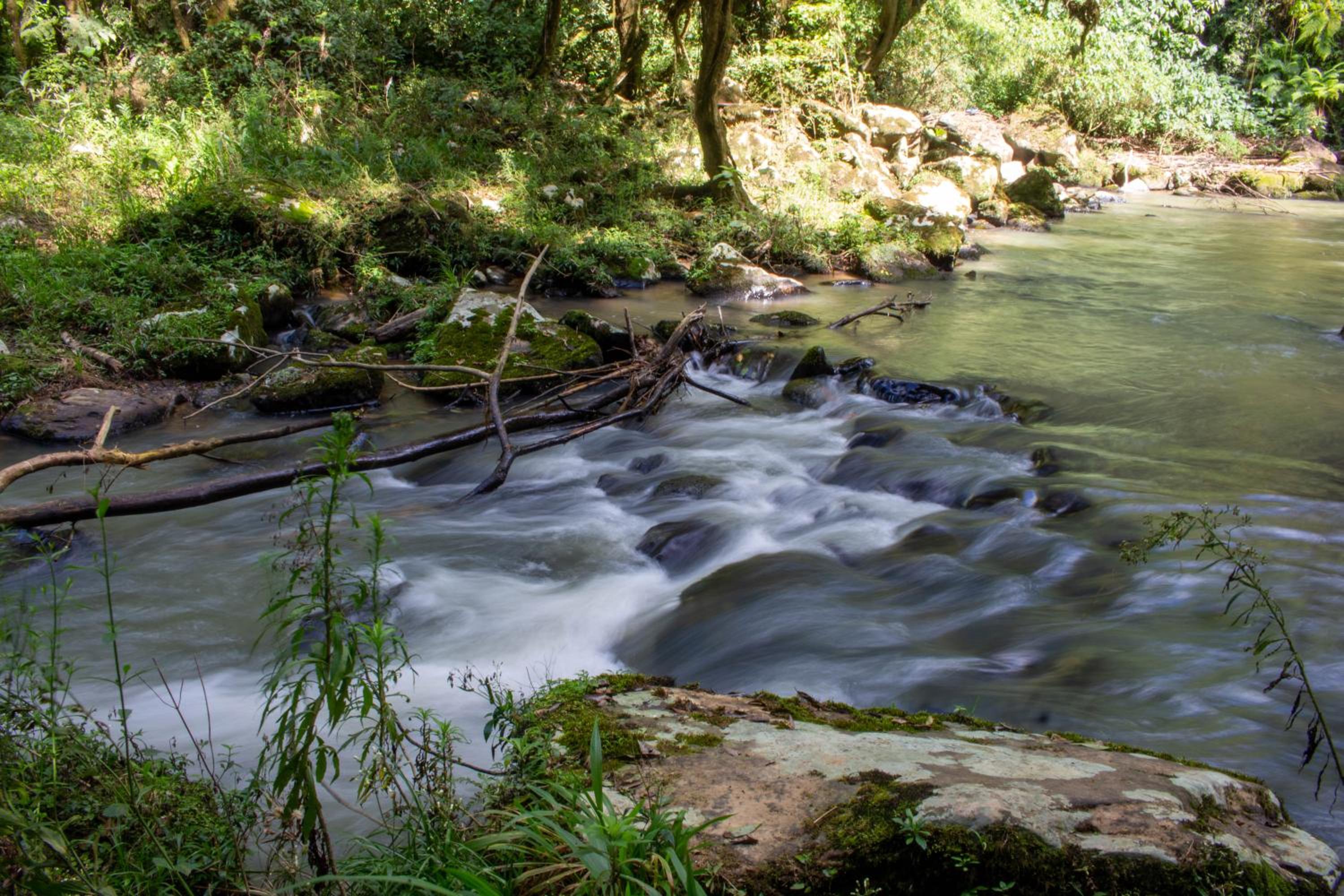 Pousada Sítio Rio Engano