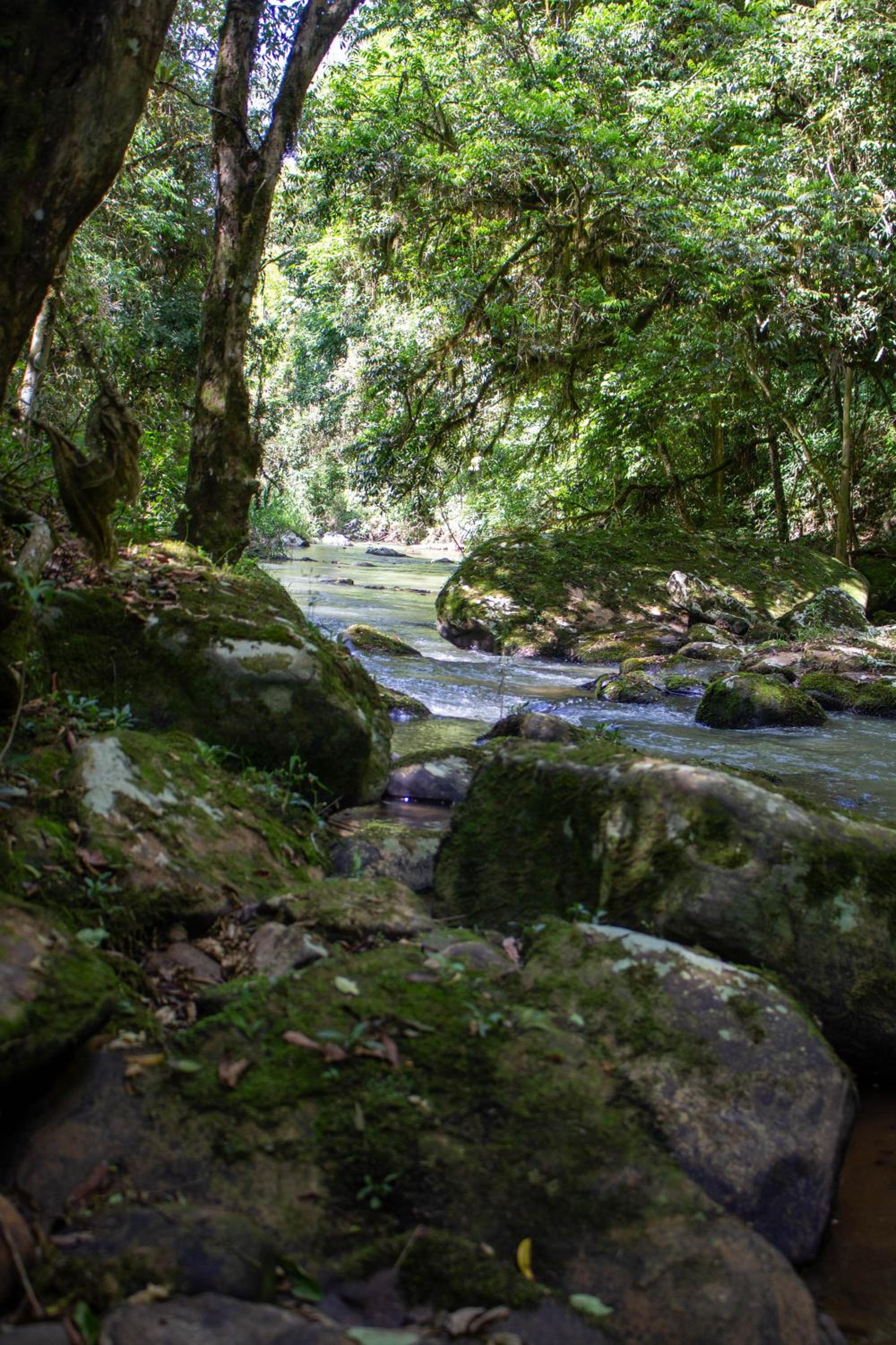 Pousada Sítio Rio Engano