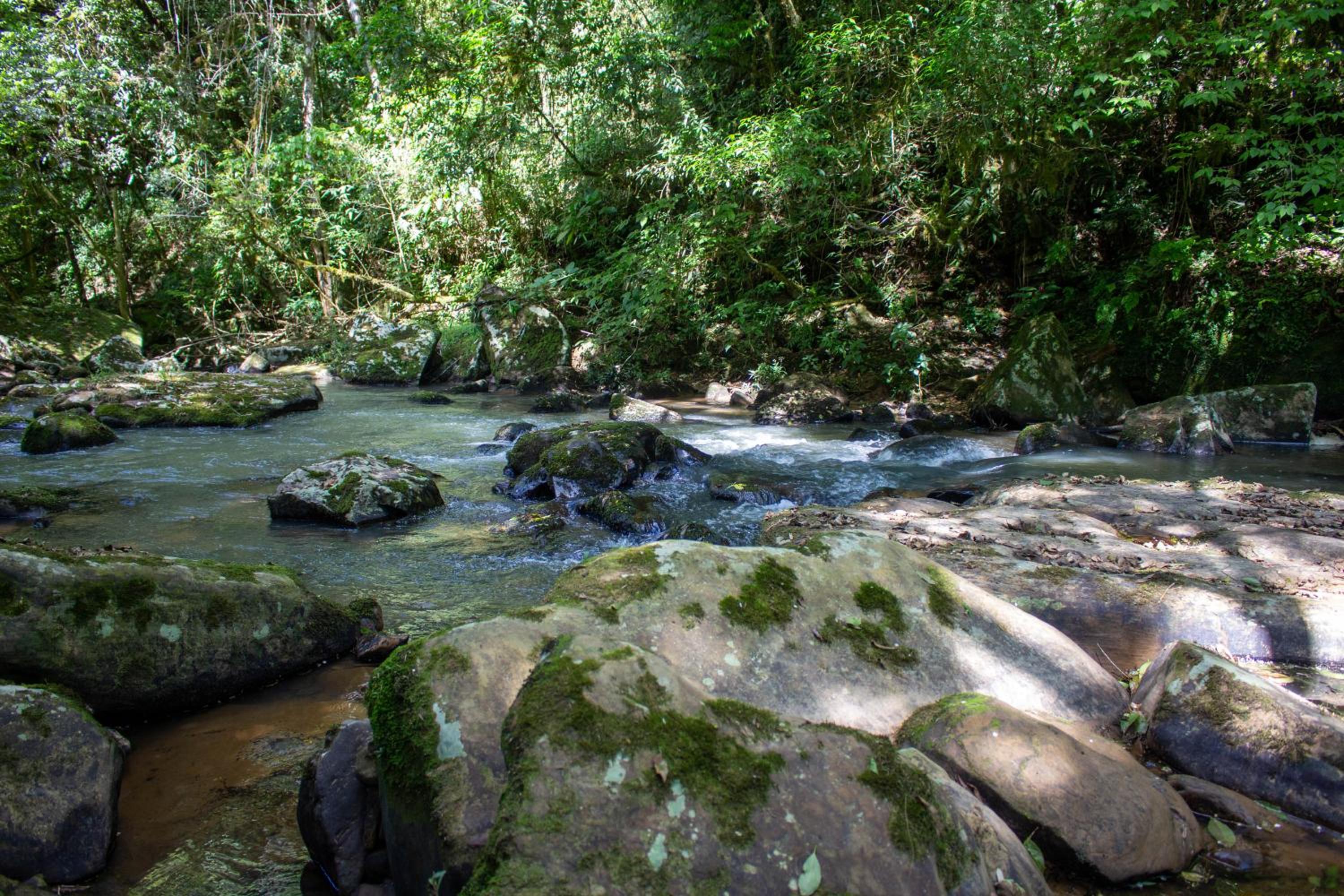Pousada Sítio Rio Engano