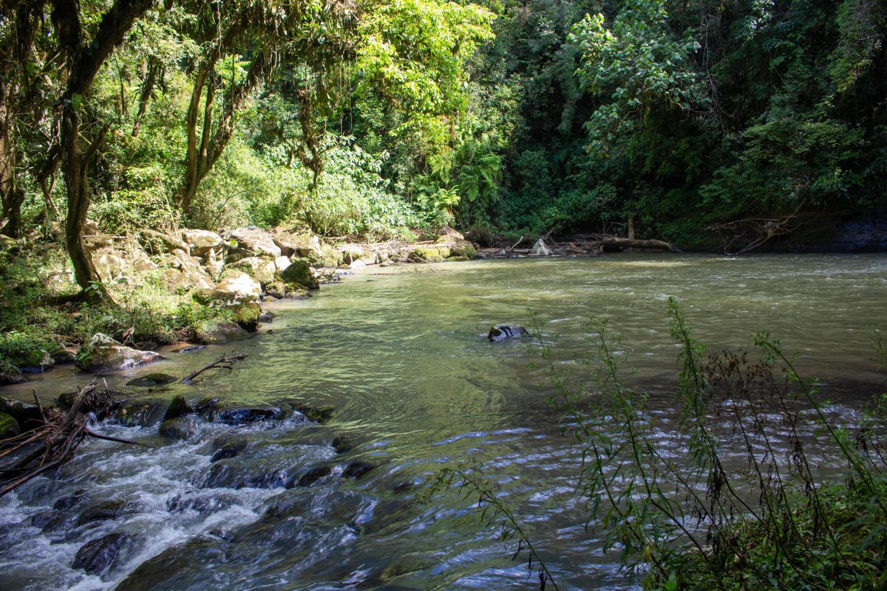Pousada Sítio Rio Engano