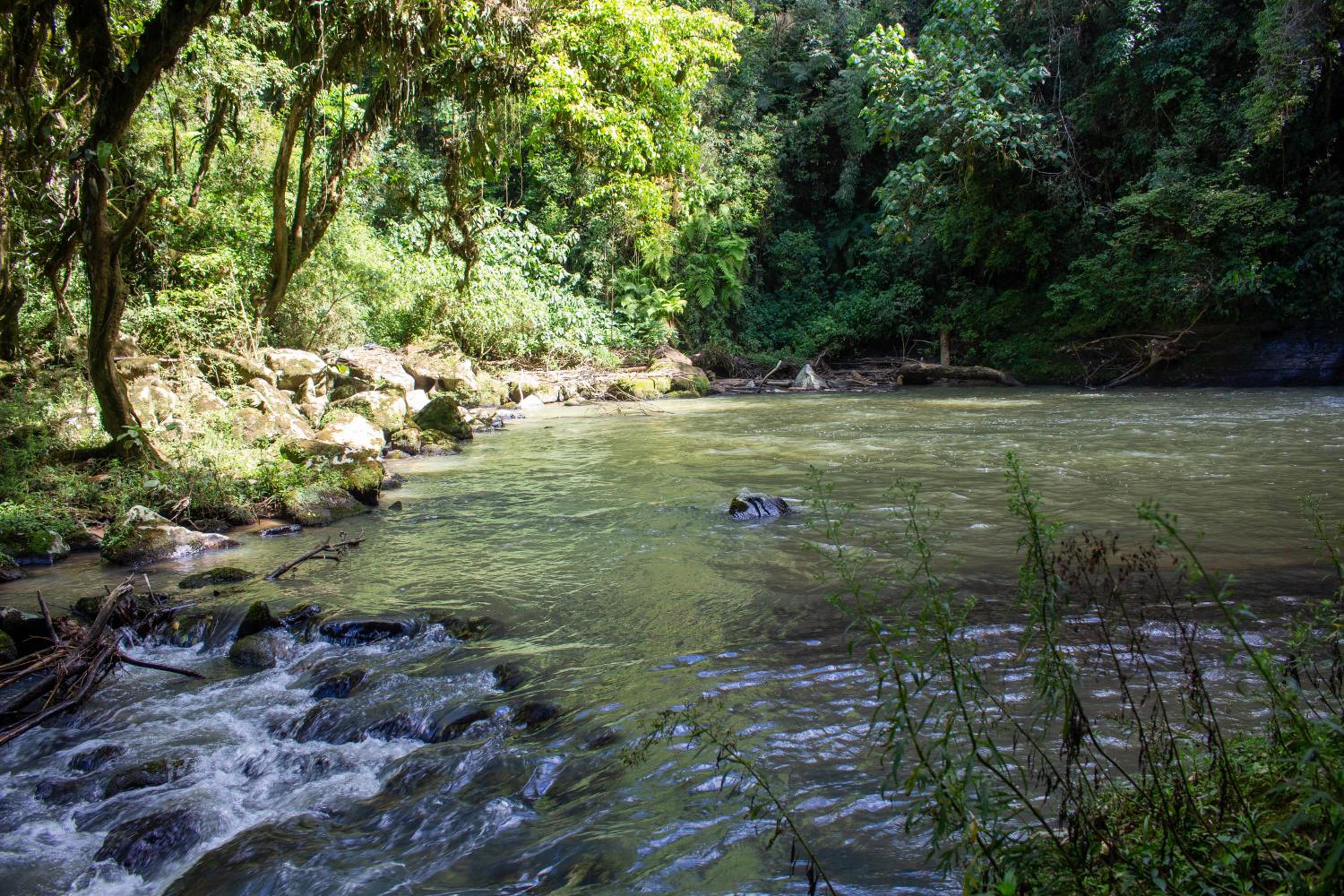 Pousada Sítio Rio Engano