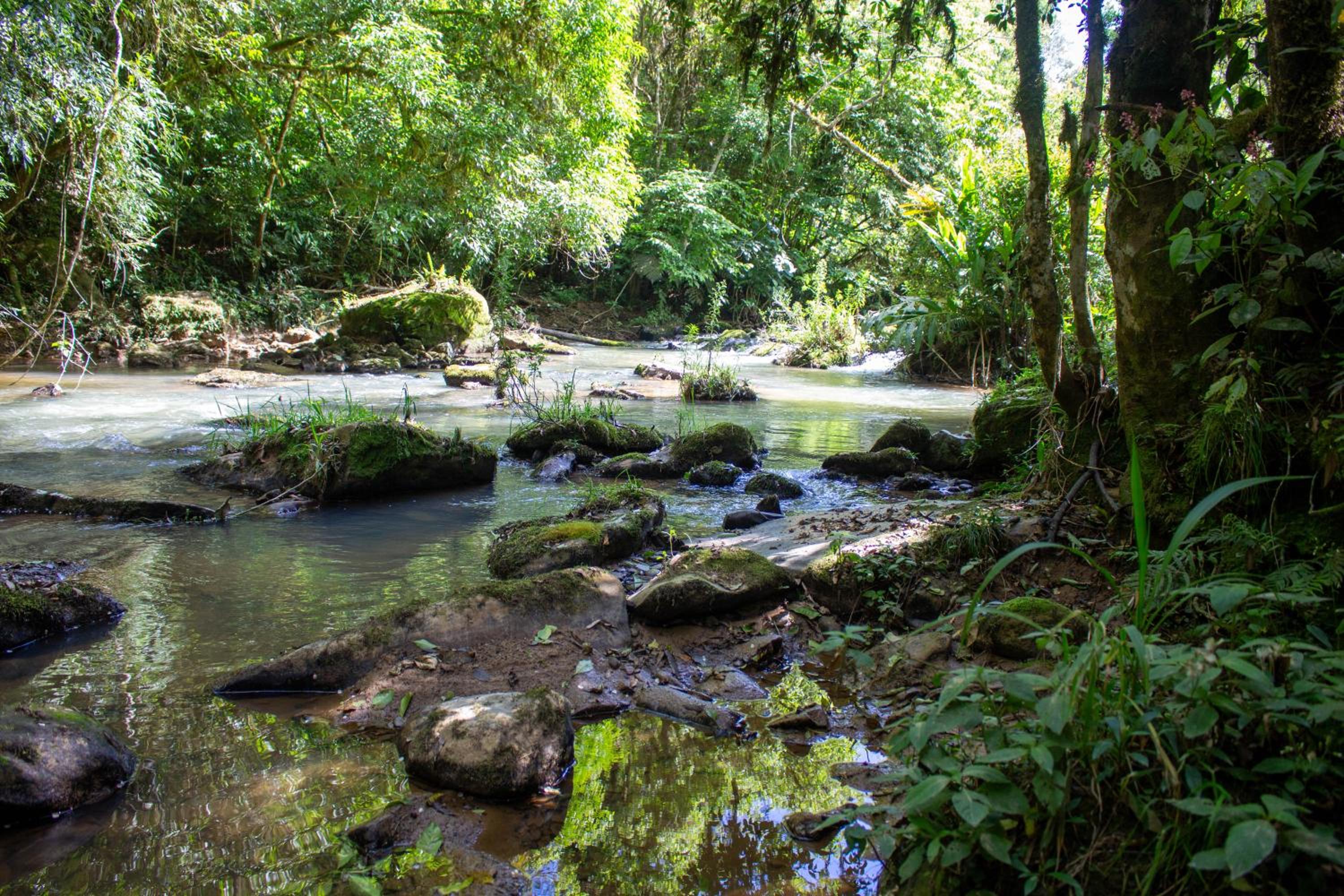 Pousada Sítio Rio Engano
