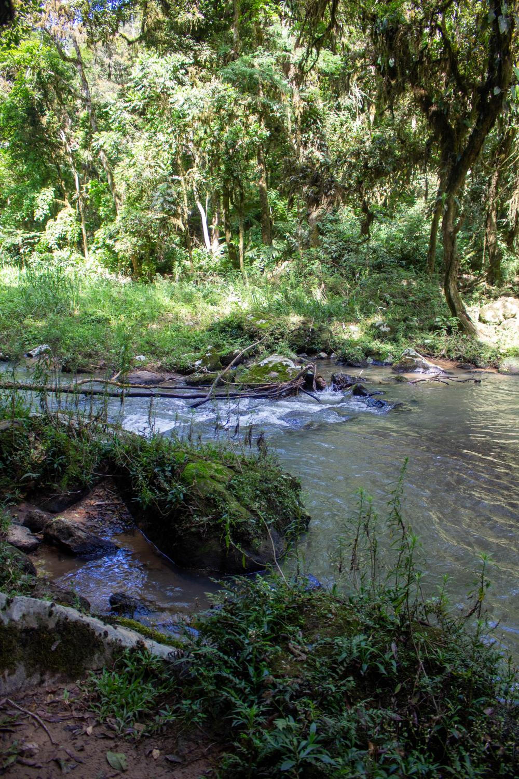 Pousada Sítio Rio Engano