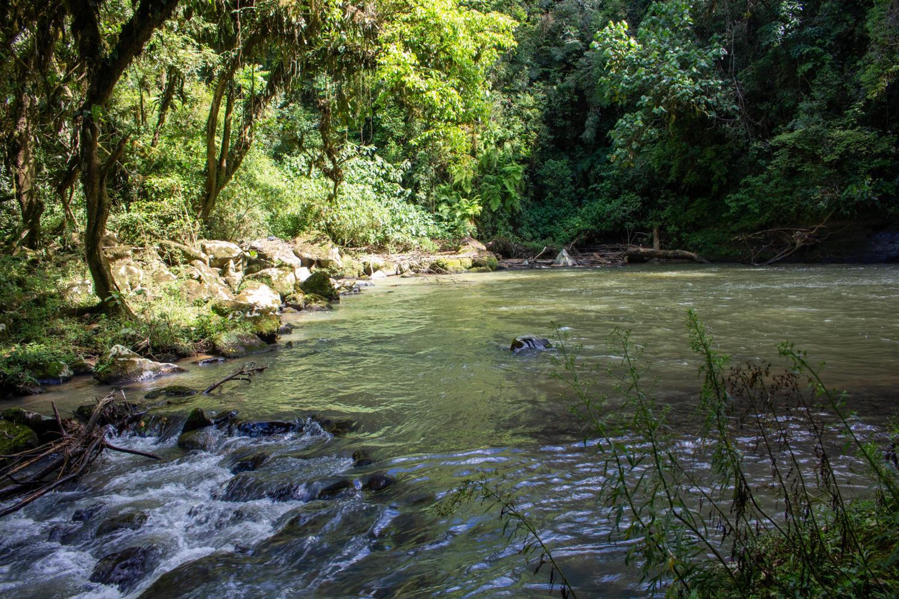 Pousada Sítio Rio Engano