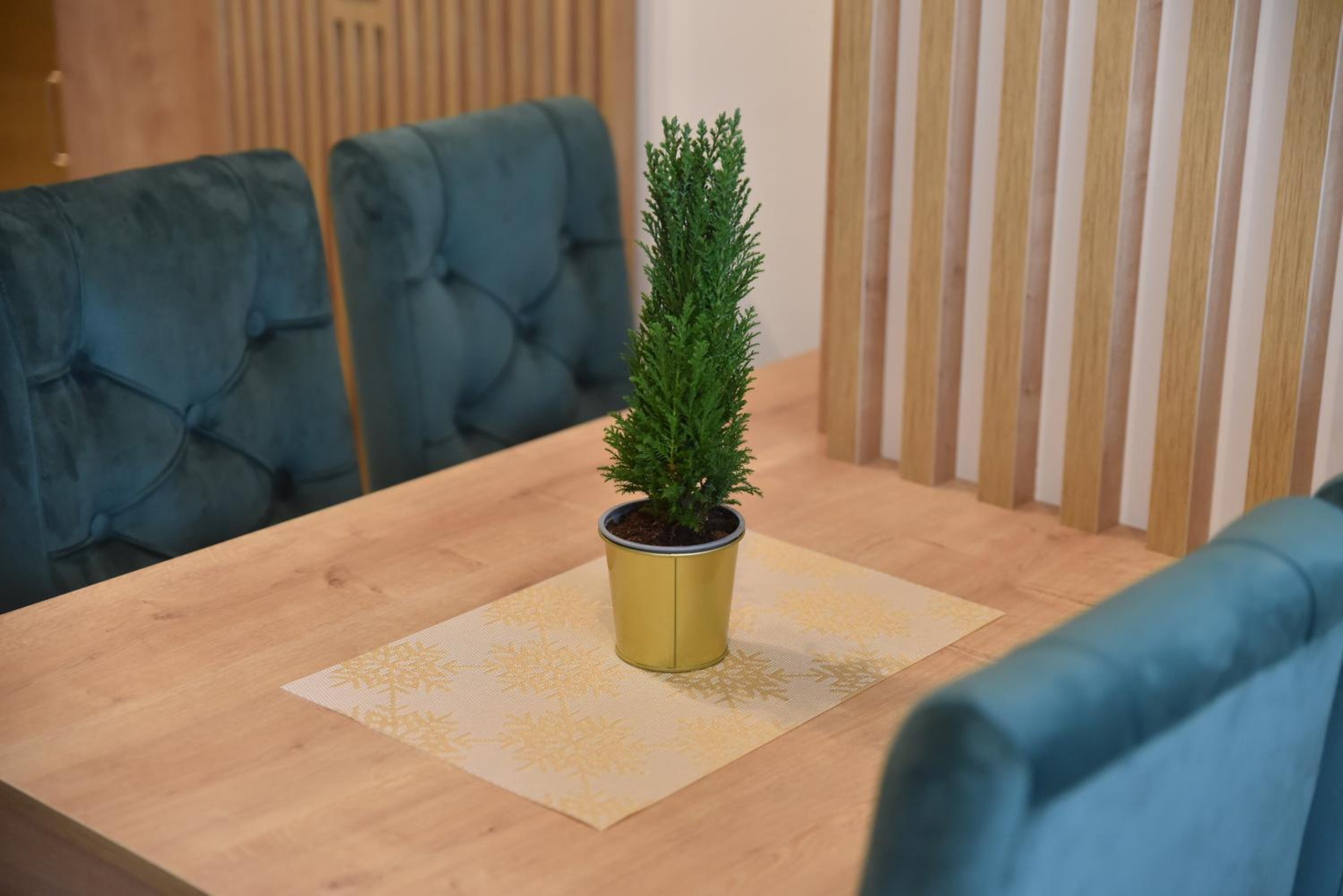 Apartman LUCIJA 9D57 Kraljevi Cardaci view 2