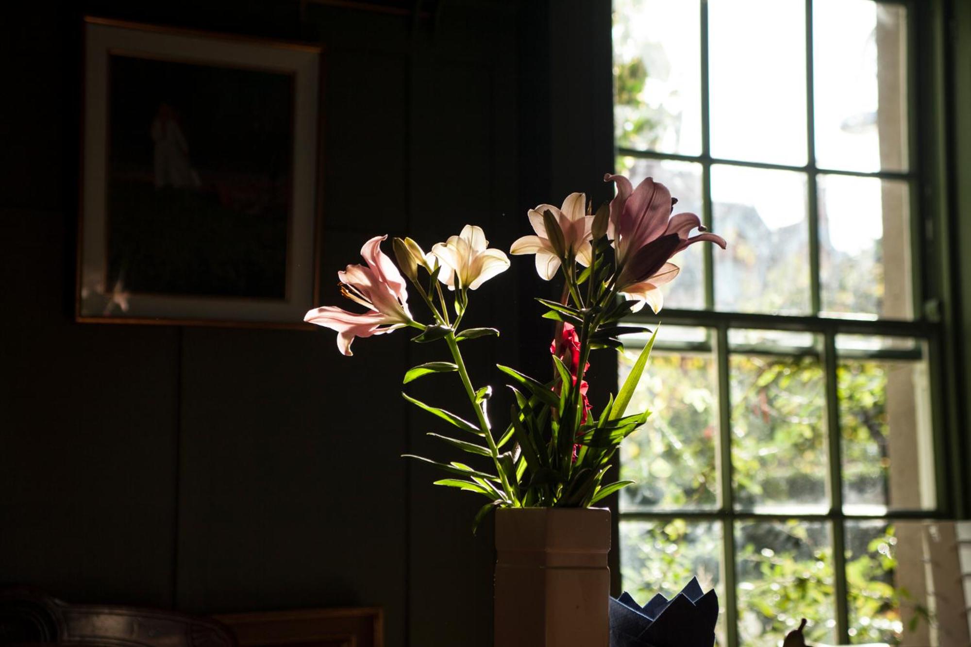 The Historical Harcourt Suites
