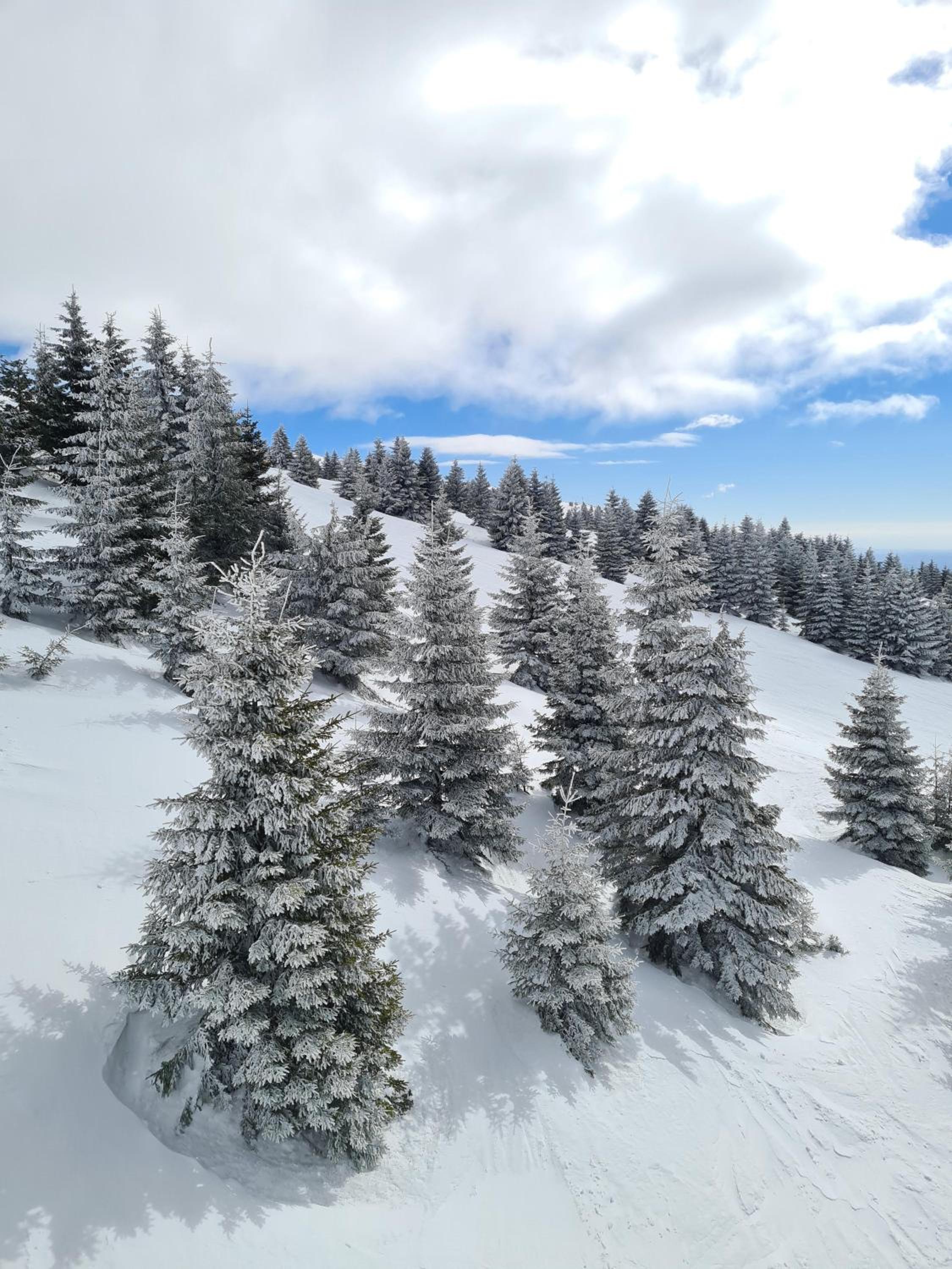 Mountain Side Kopaonik