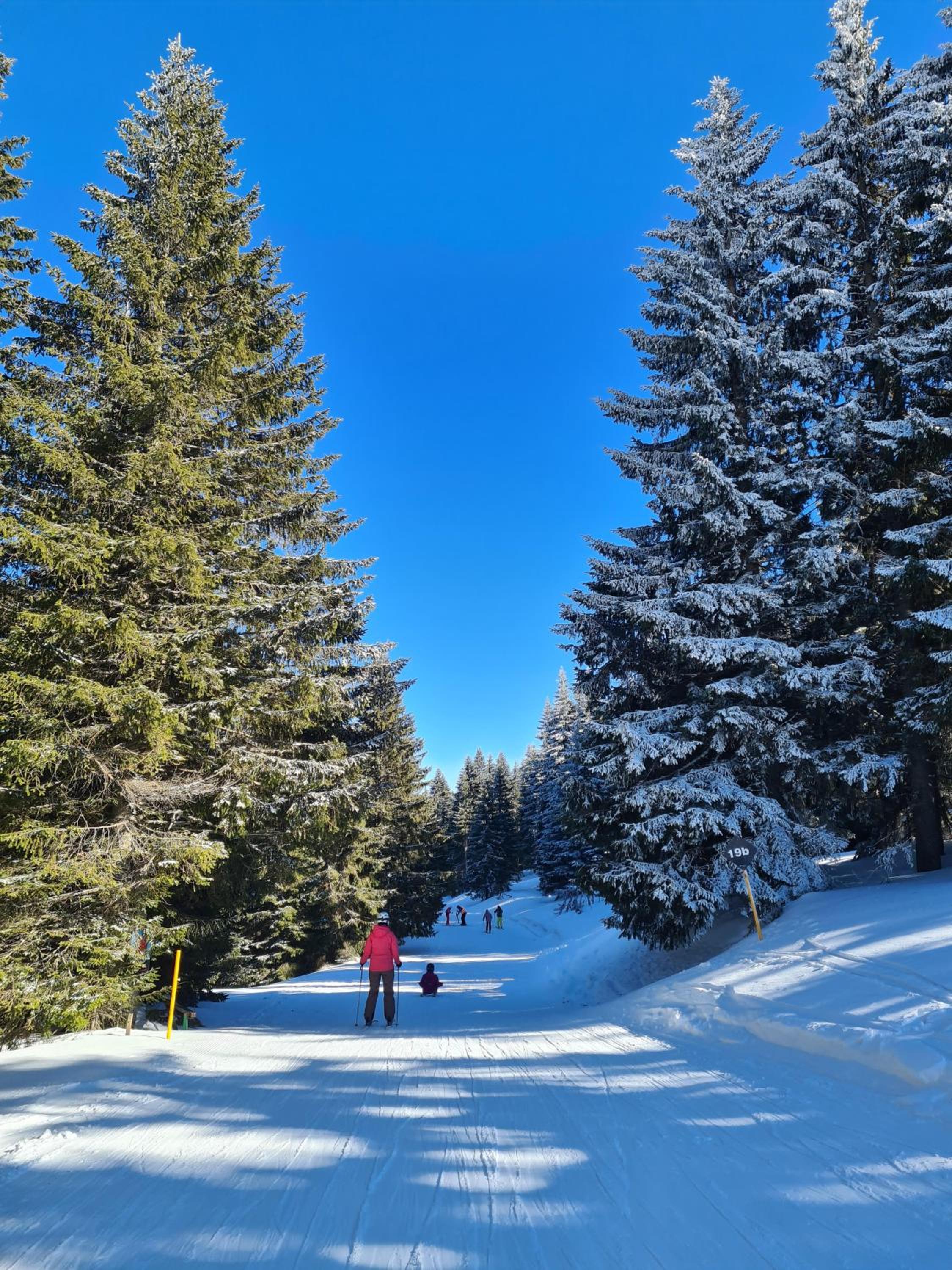 Mountain Side Kopaonik