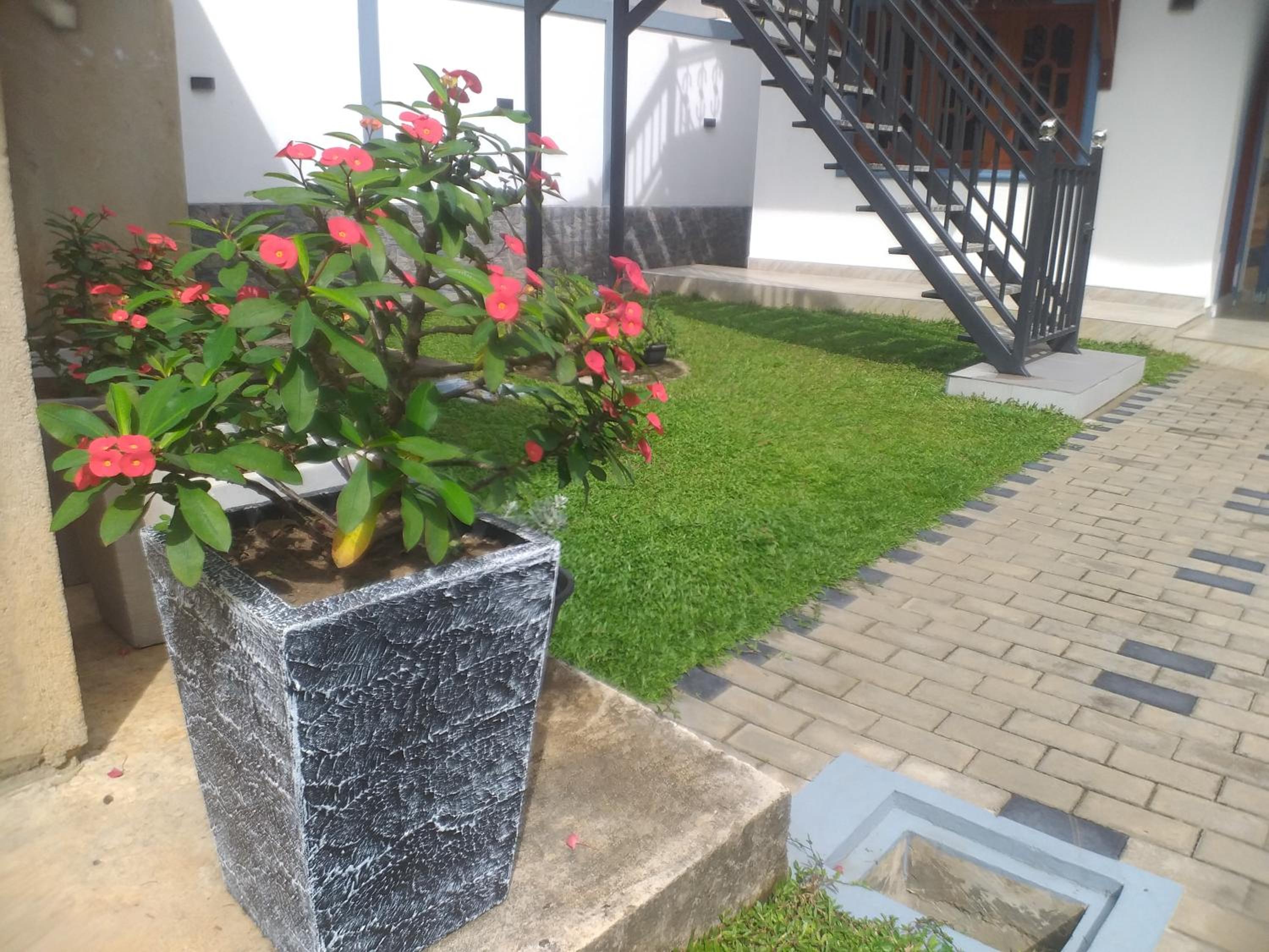 Photo 51
