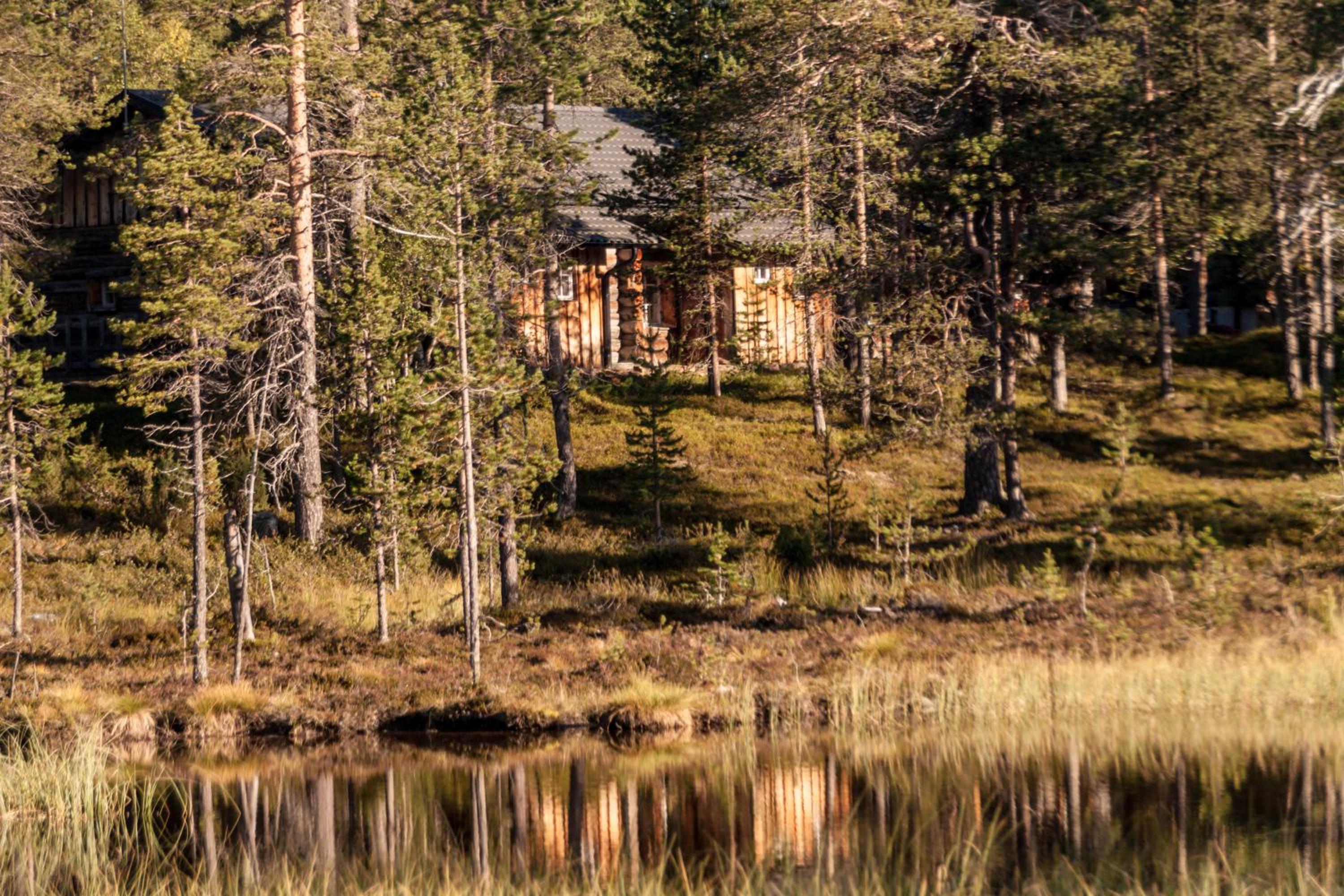 Kuukkeli Apartments Tokka