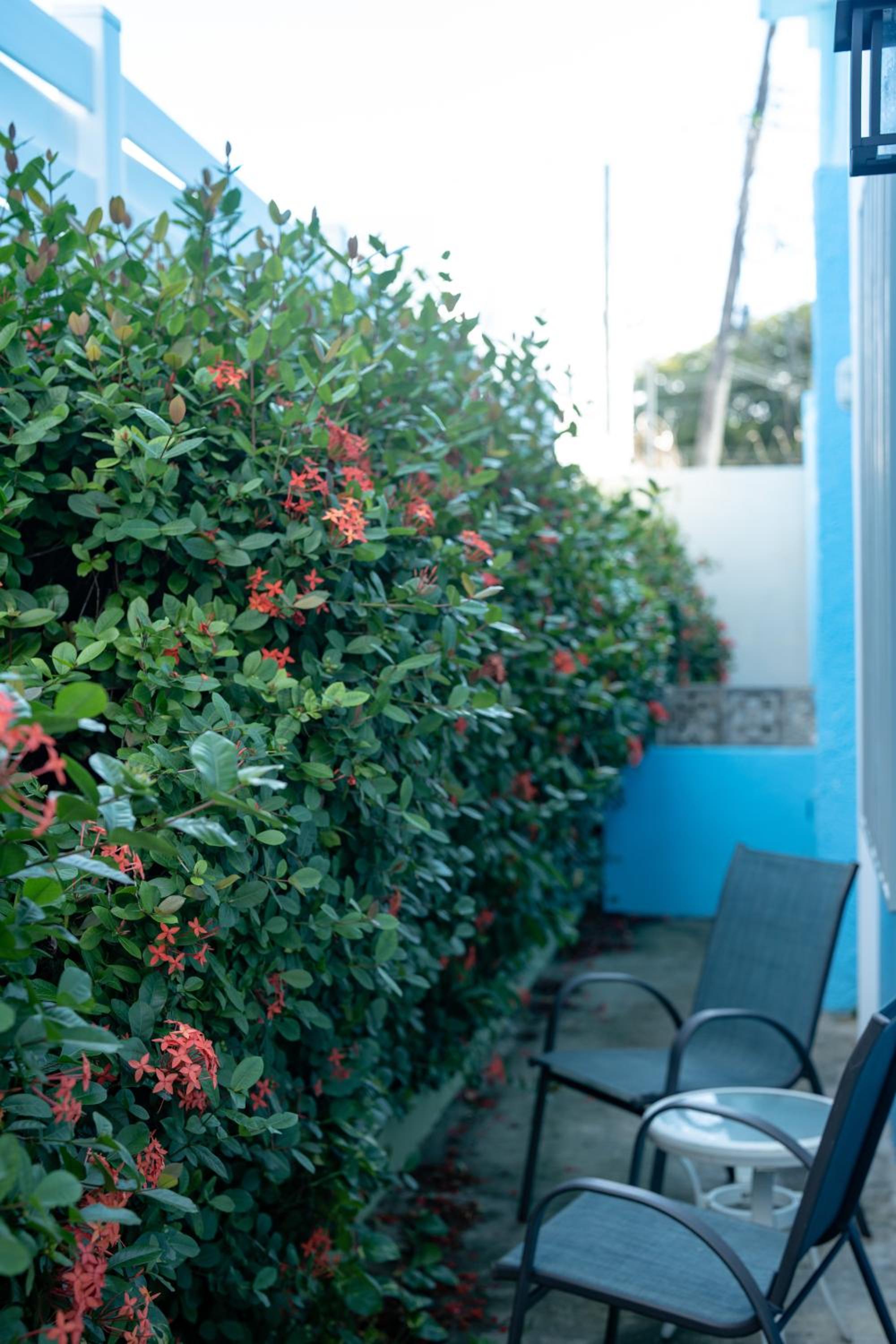 Photo 100