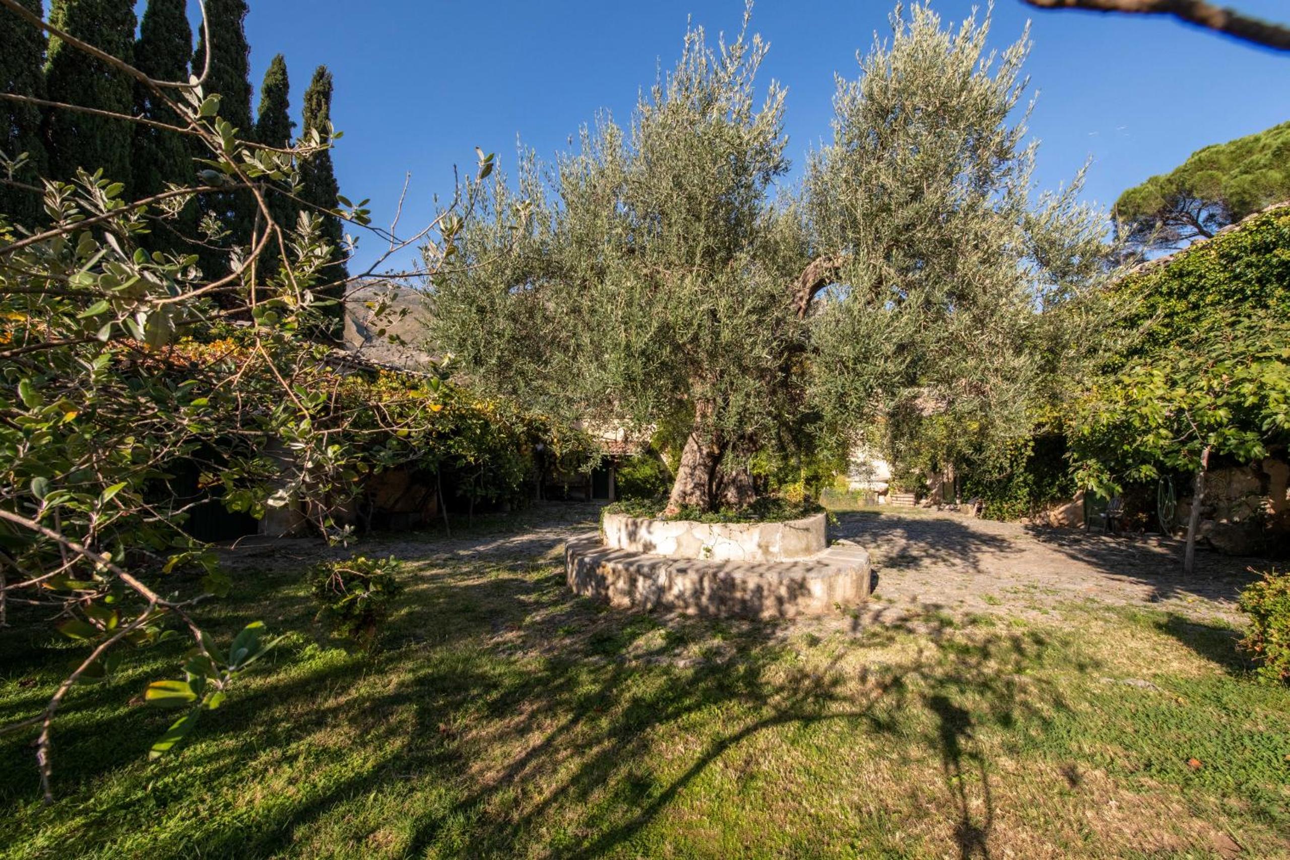 Photo 41