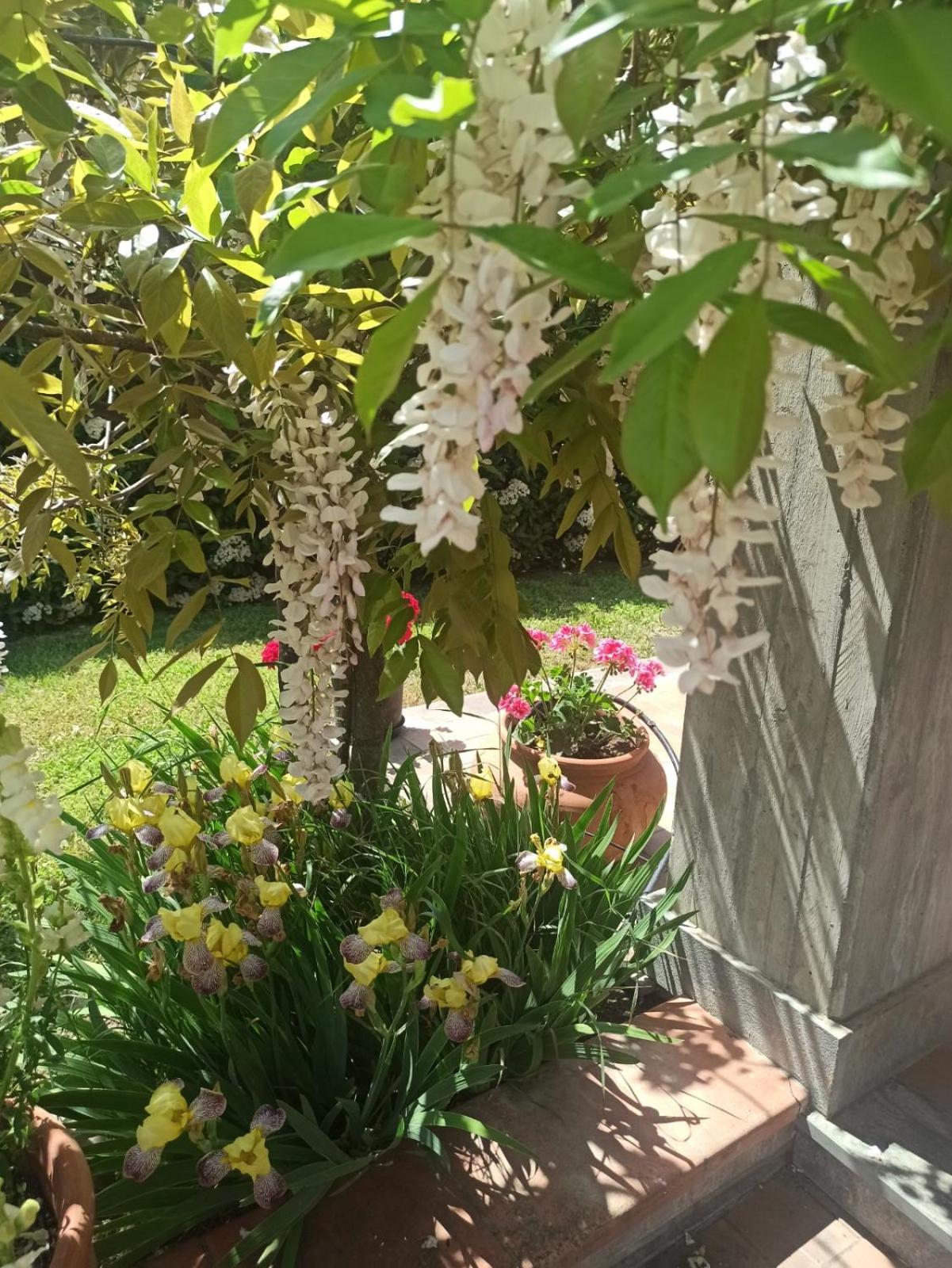 Photo 14