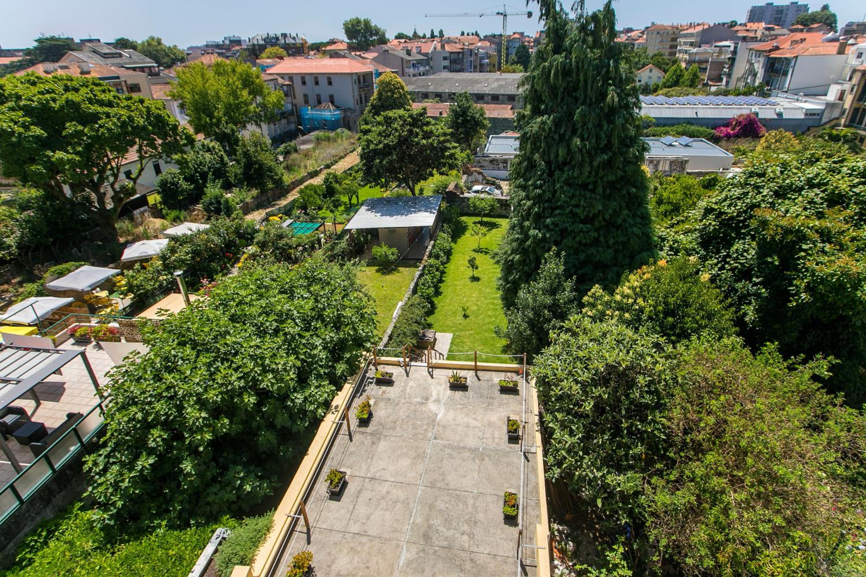 Cedofeita Back Garden view 5