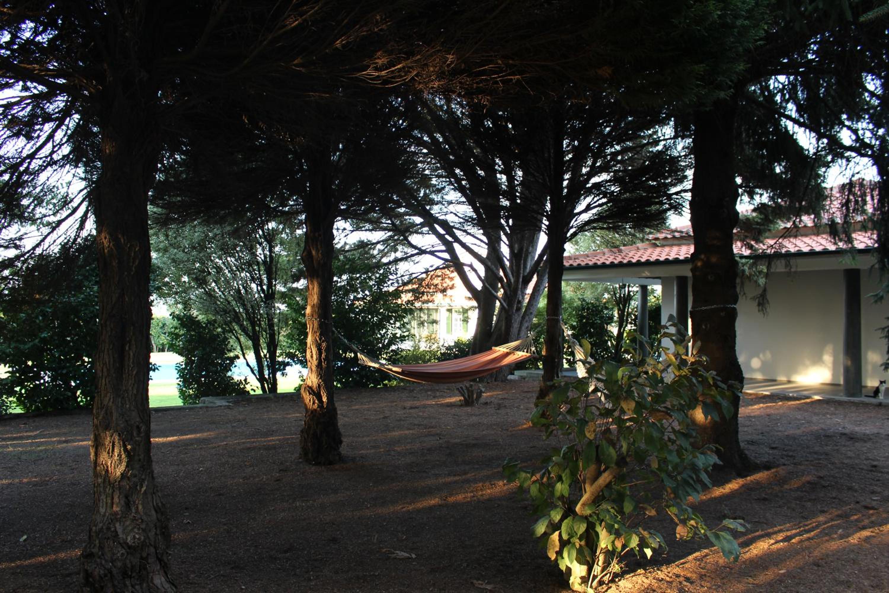 Solar da Boavista - Property Image 14