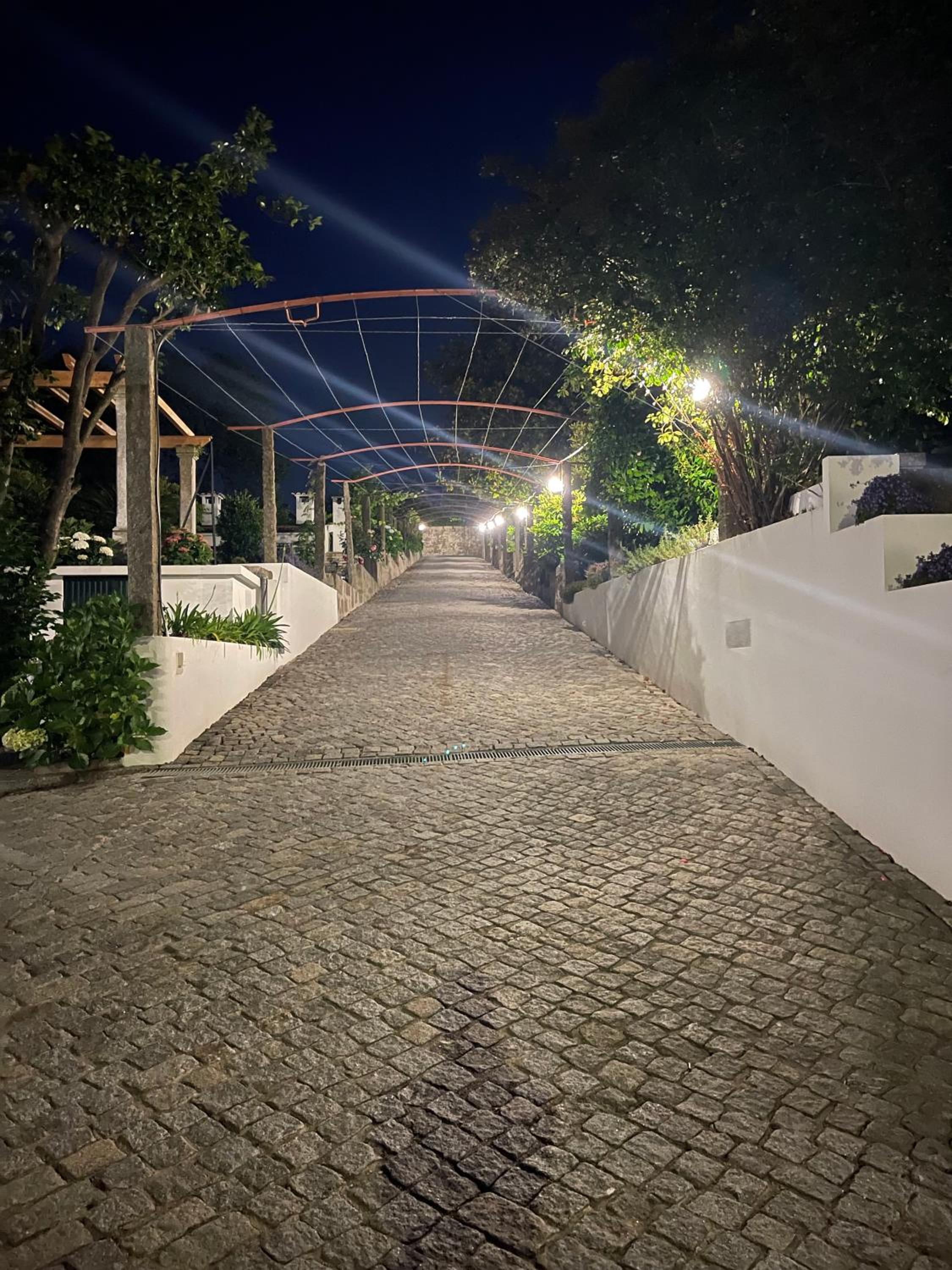 Solar da Boavista - Property Image 11