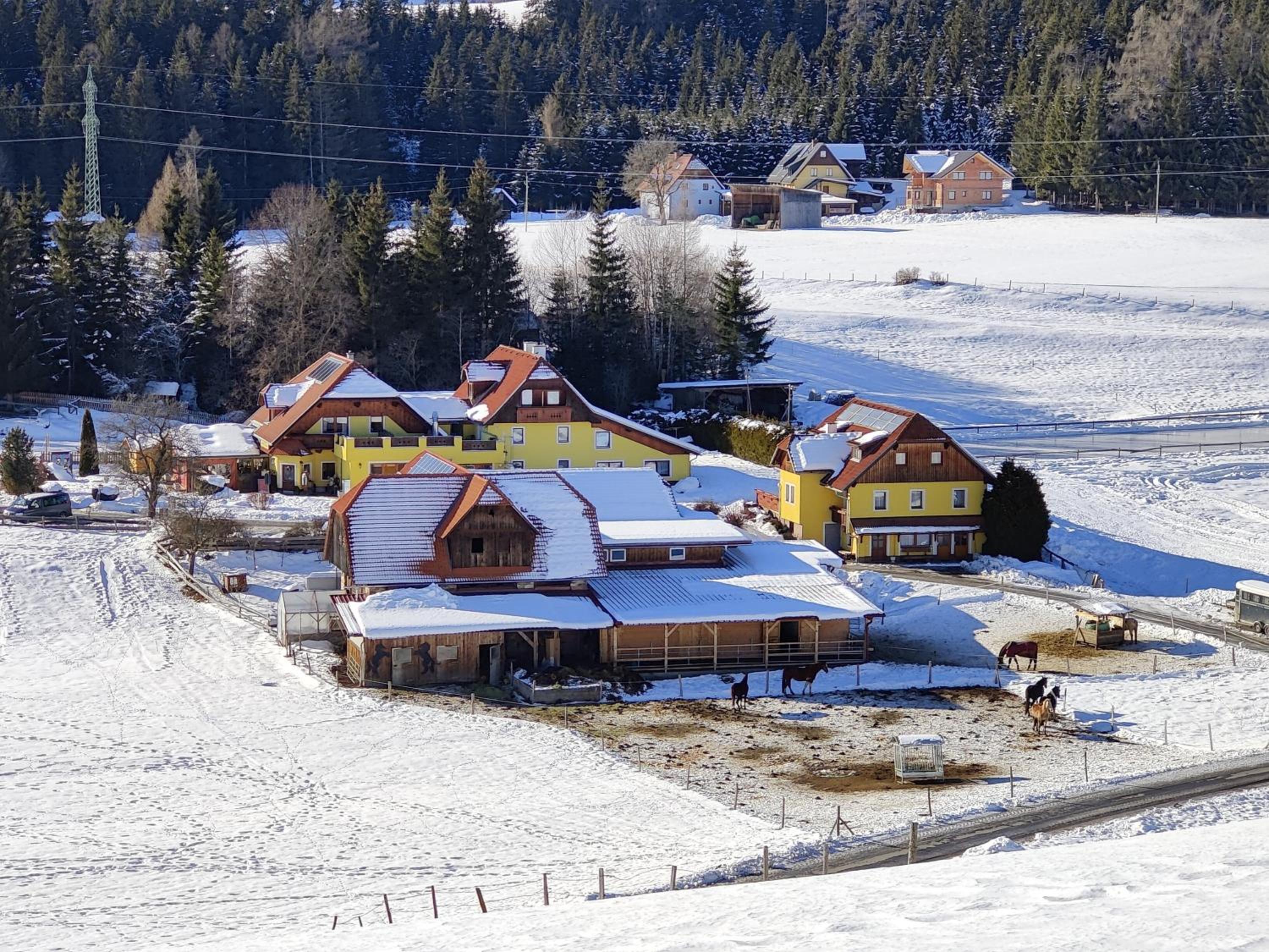Hotel Gasthof Seeblick