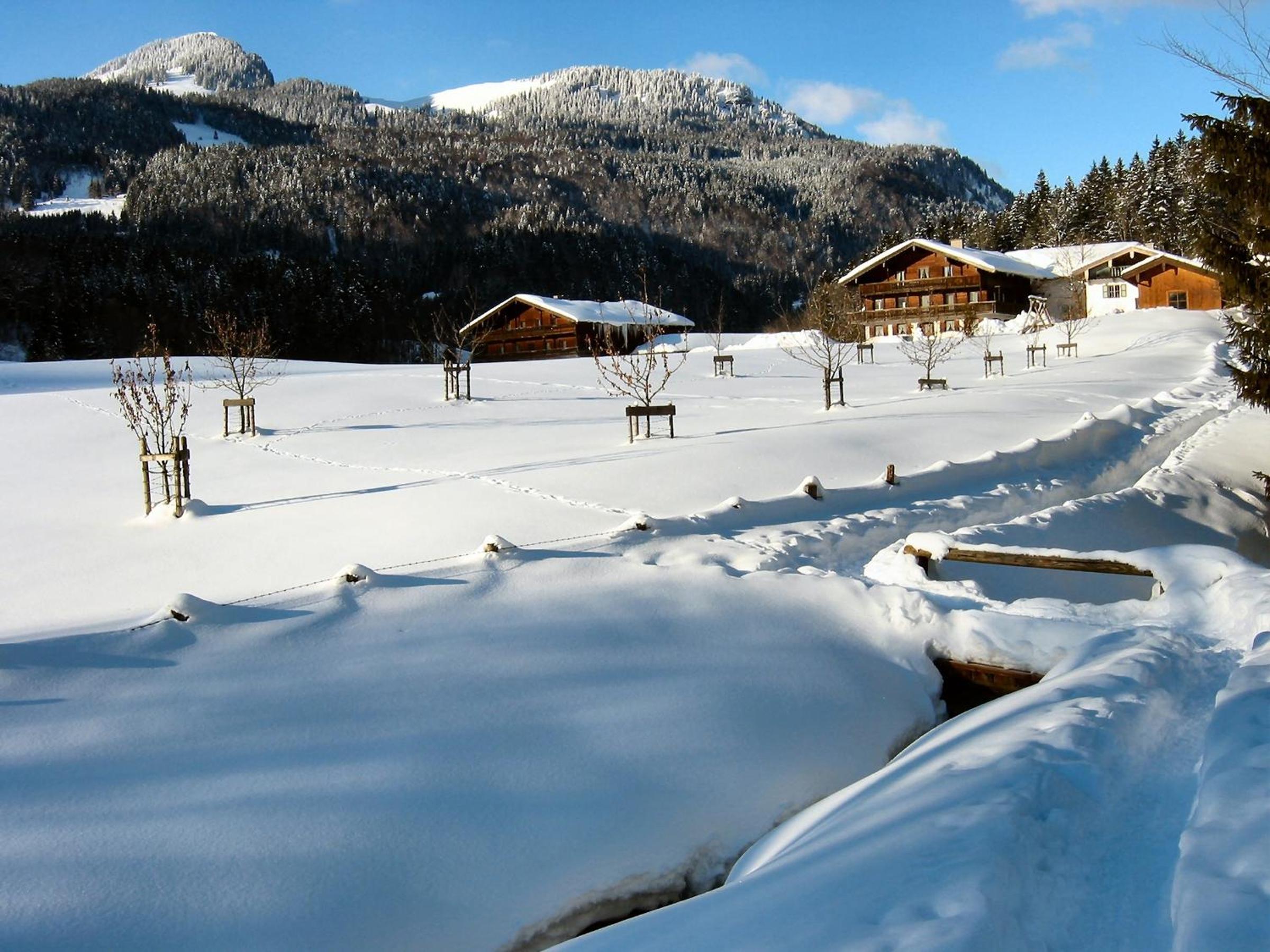 Photo 20