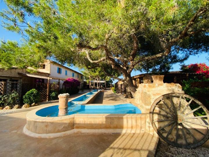 Finca Sa Canova Agroturismo