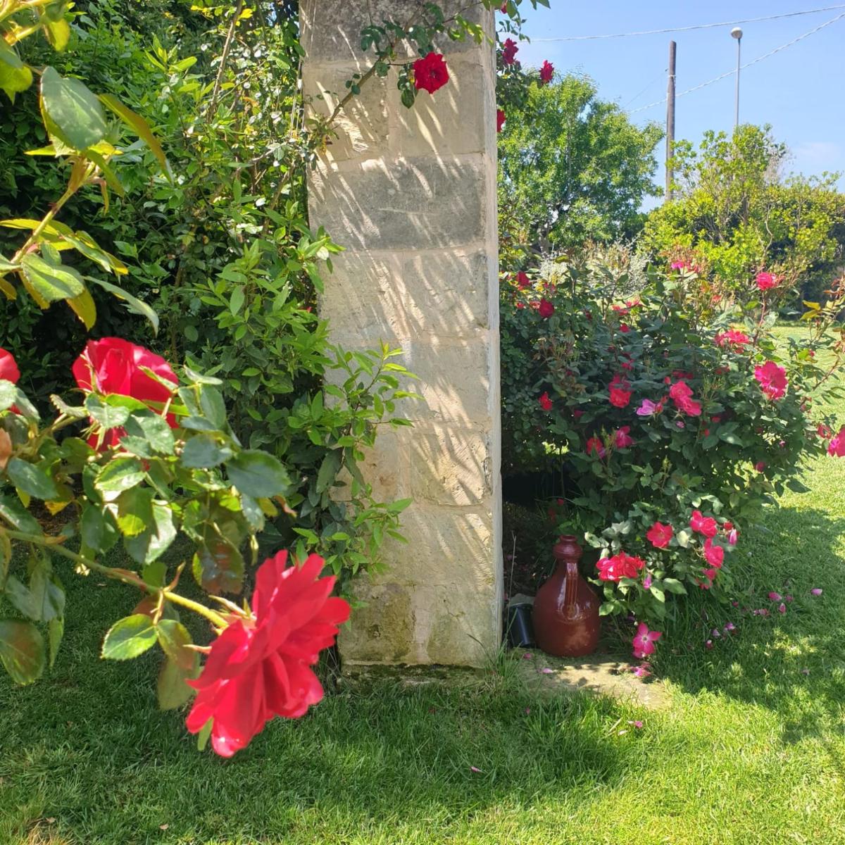 Photo 14
