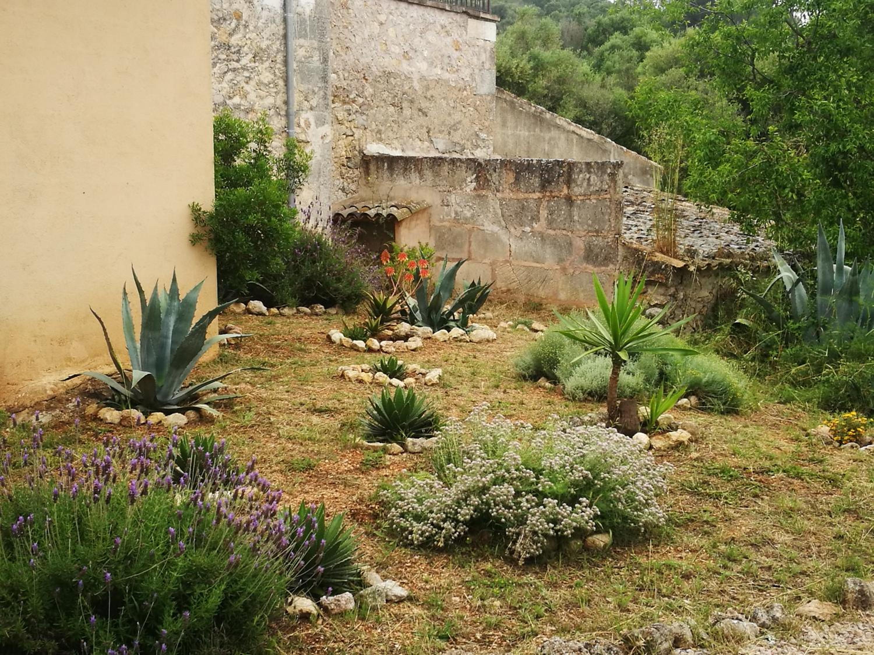 Photo 21