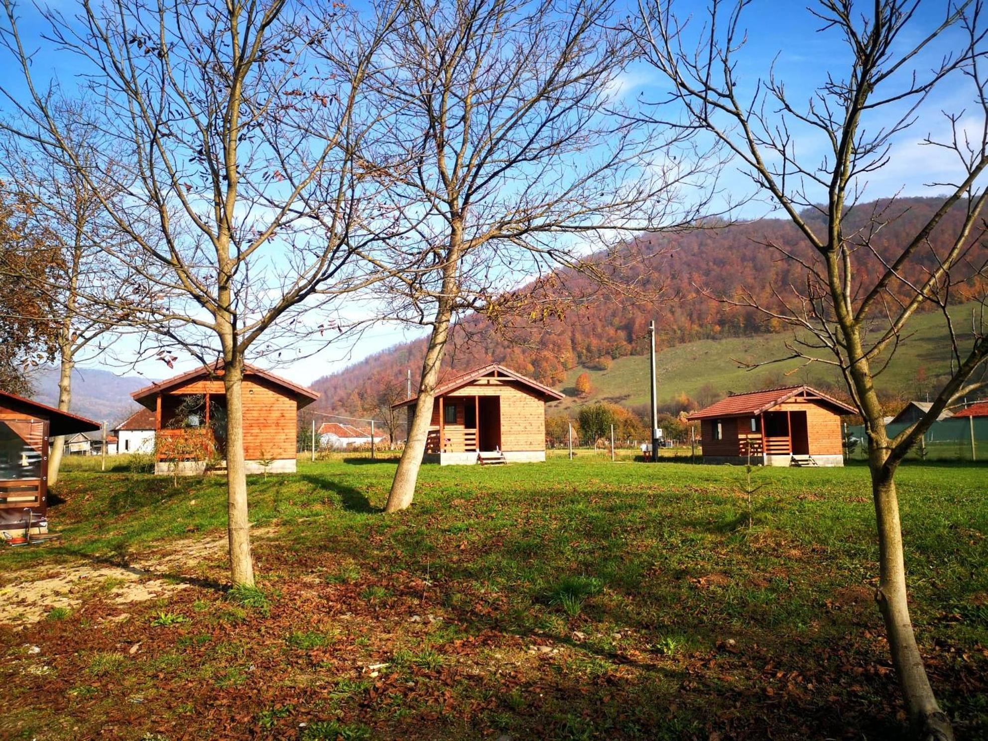 Căsuțe Zăvoi Bulz view 3