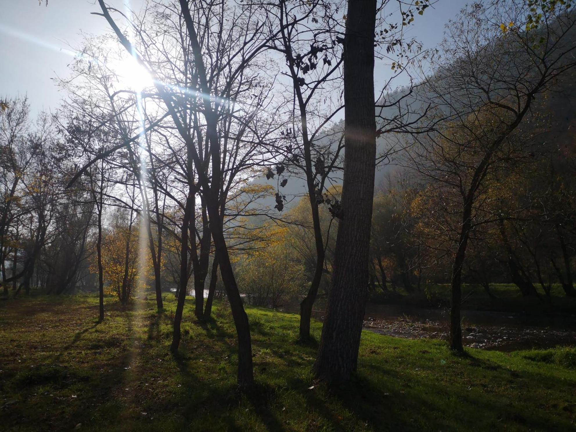 Photo 46