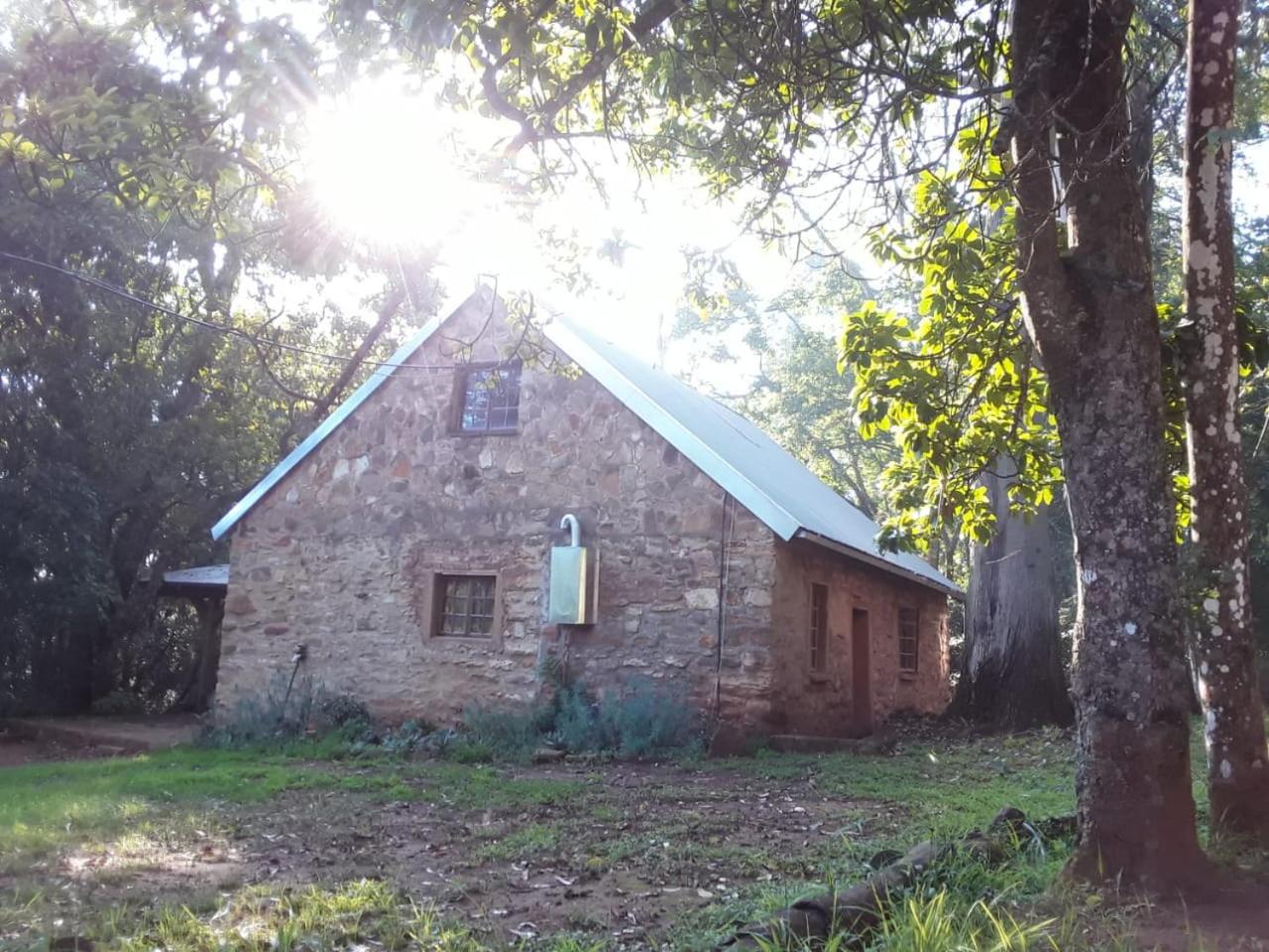 Photo 19