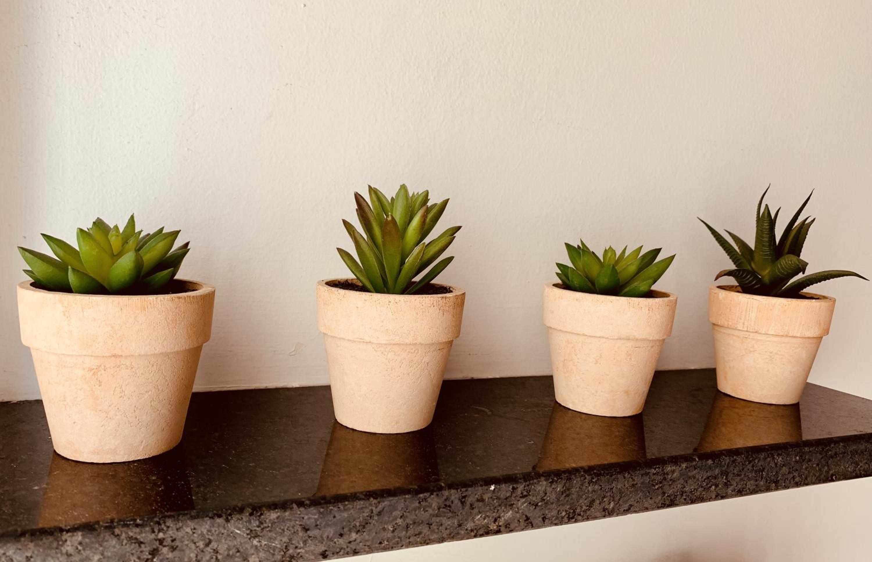 Departamento en Villa Crespo