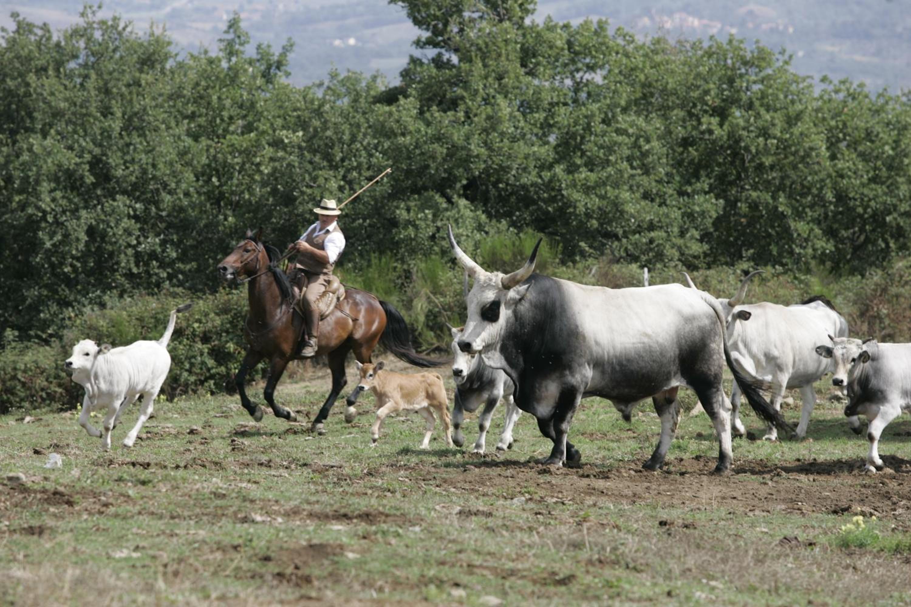 Agri Resort La Forra