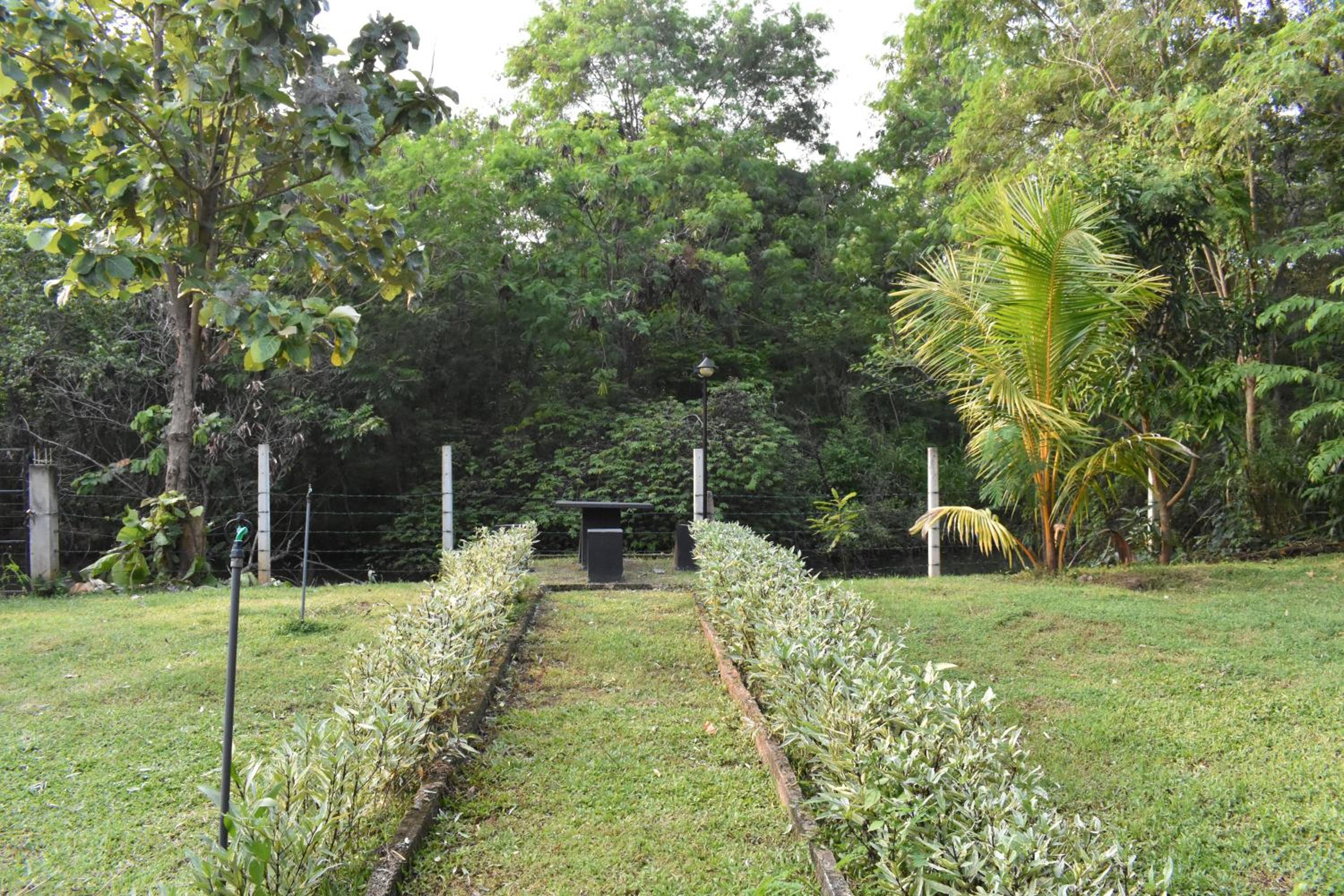 Photo 48