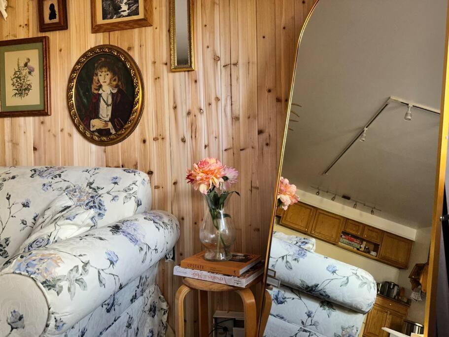 Ski in Ski Out Cabin Hunter Mtn Seasonal Pool Access w Panoramic Views Hike Swim Fish Recharge
