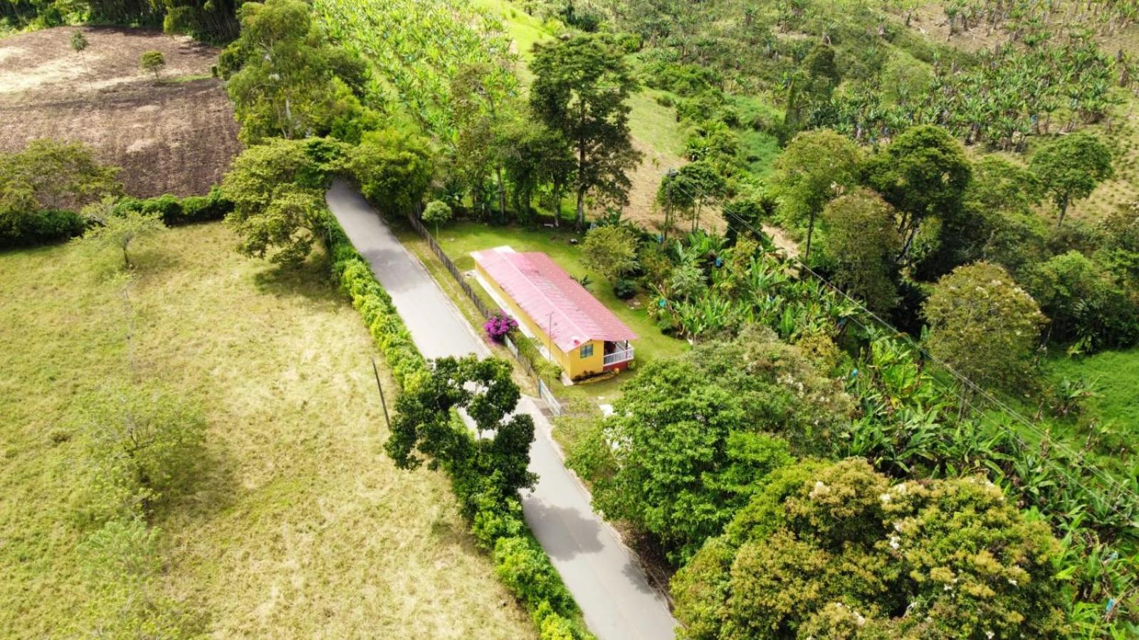 Finca cerca Parque del Cafe y Panaca Aves & paisaje