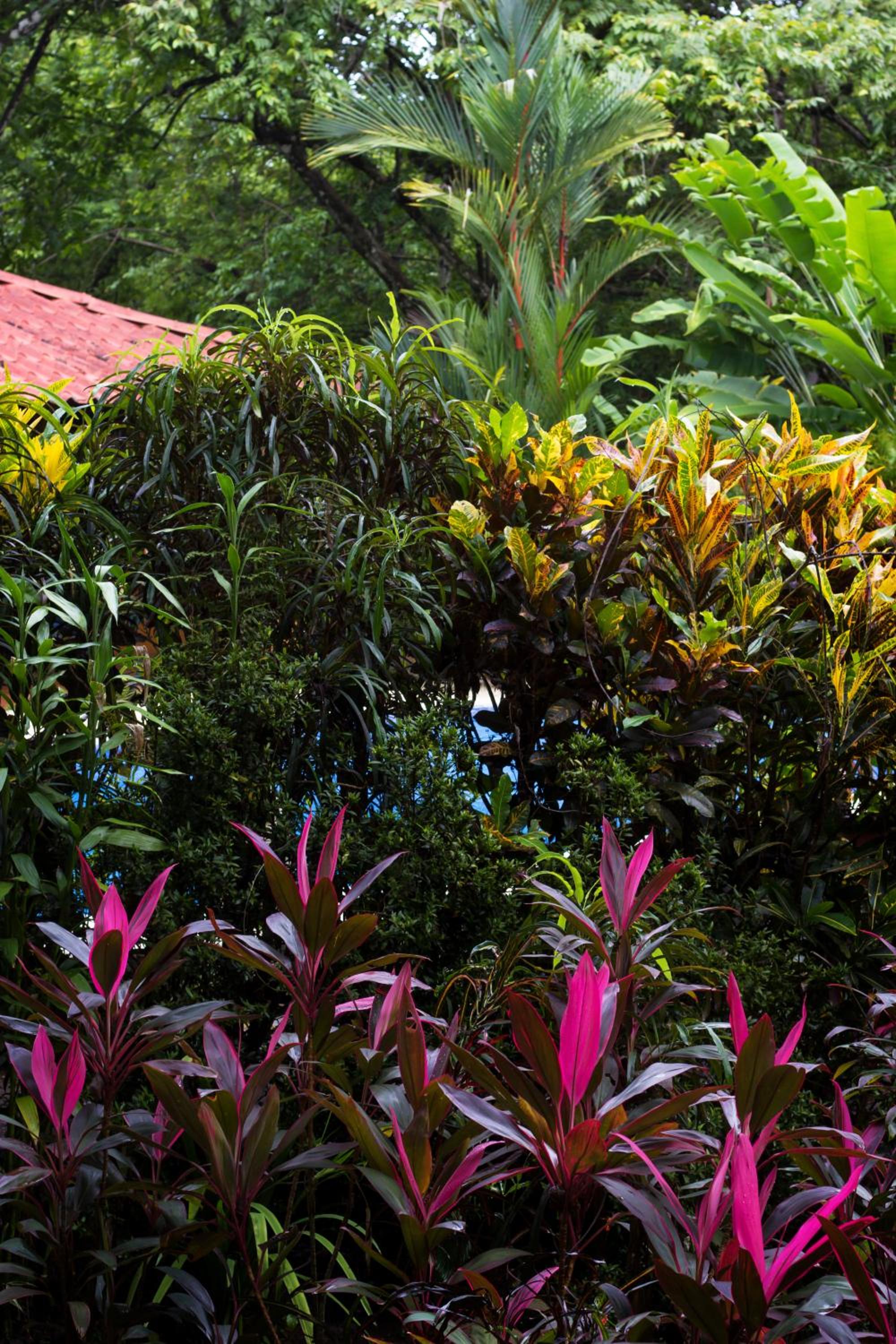 Casa Colores