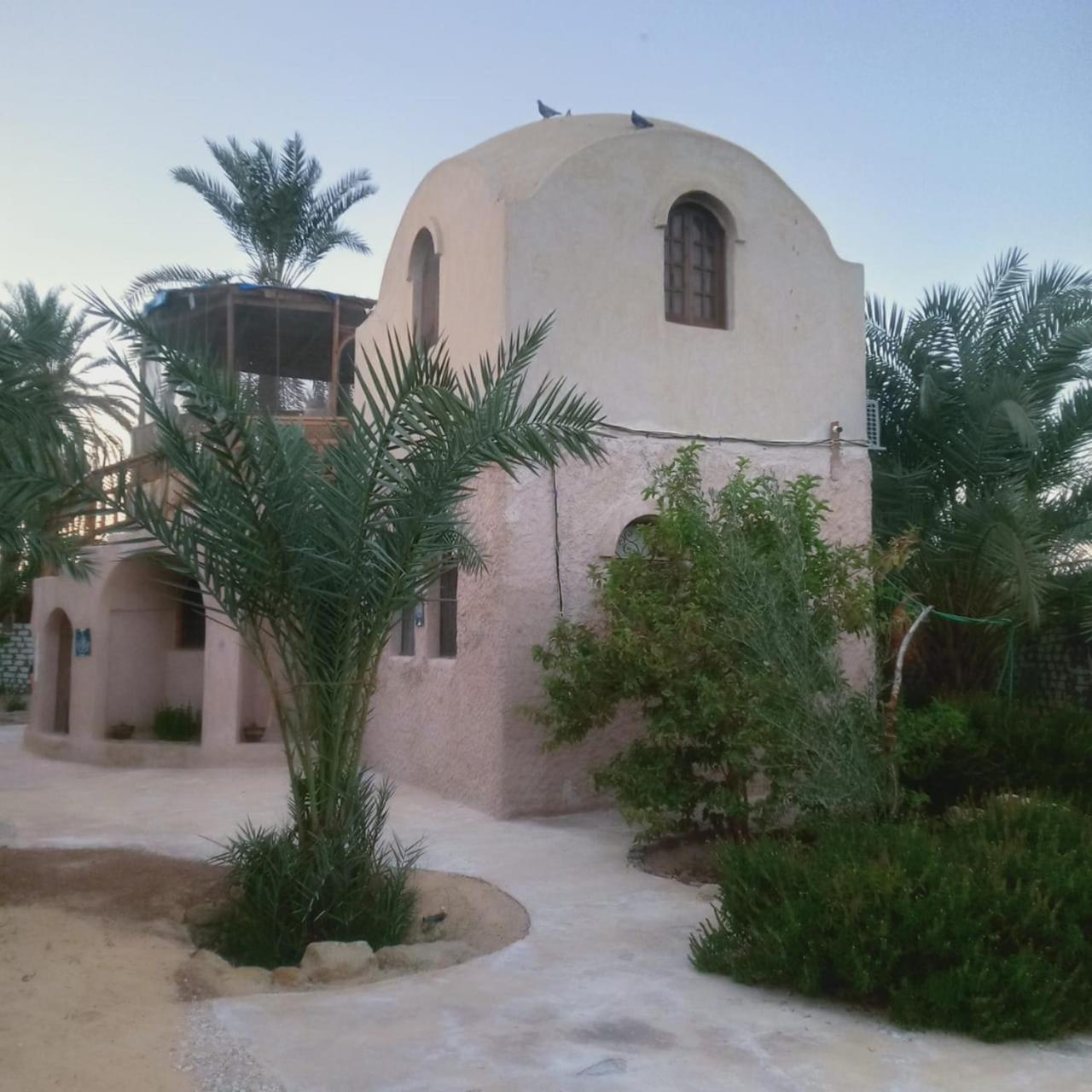 Siwa Spot - March is one of the best months in Siwa, with beautiful spring weather, pleasant sunny days, cooler peaceful nights, and a quiet oasis atmosphe