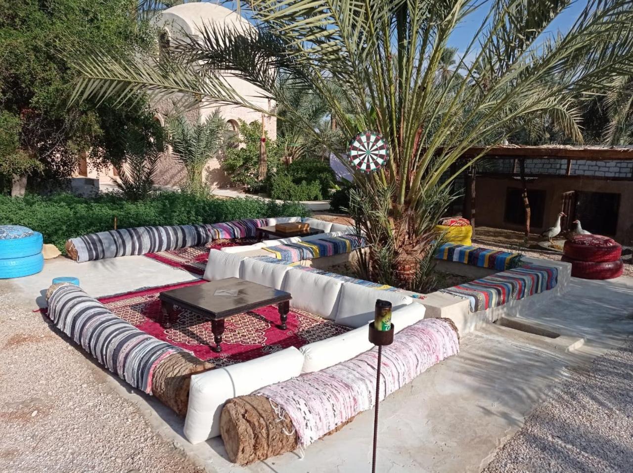 Siwa Spot - March is one of the best months in Siwa, with beautiful spring weather, pleasant sunny days, cooler peaceful nights, and a quiet oasis atmosphe