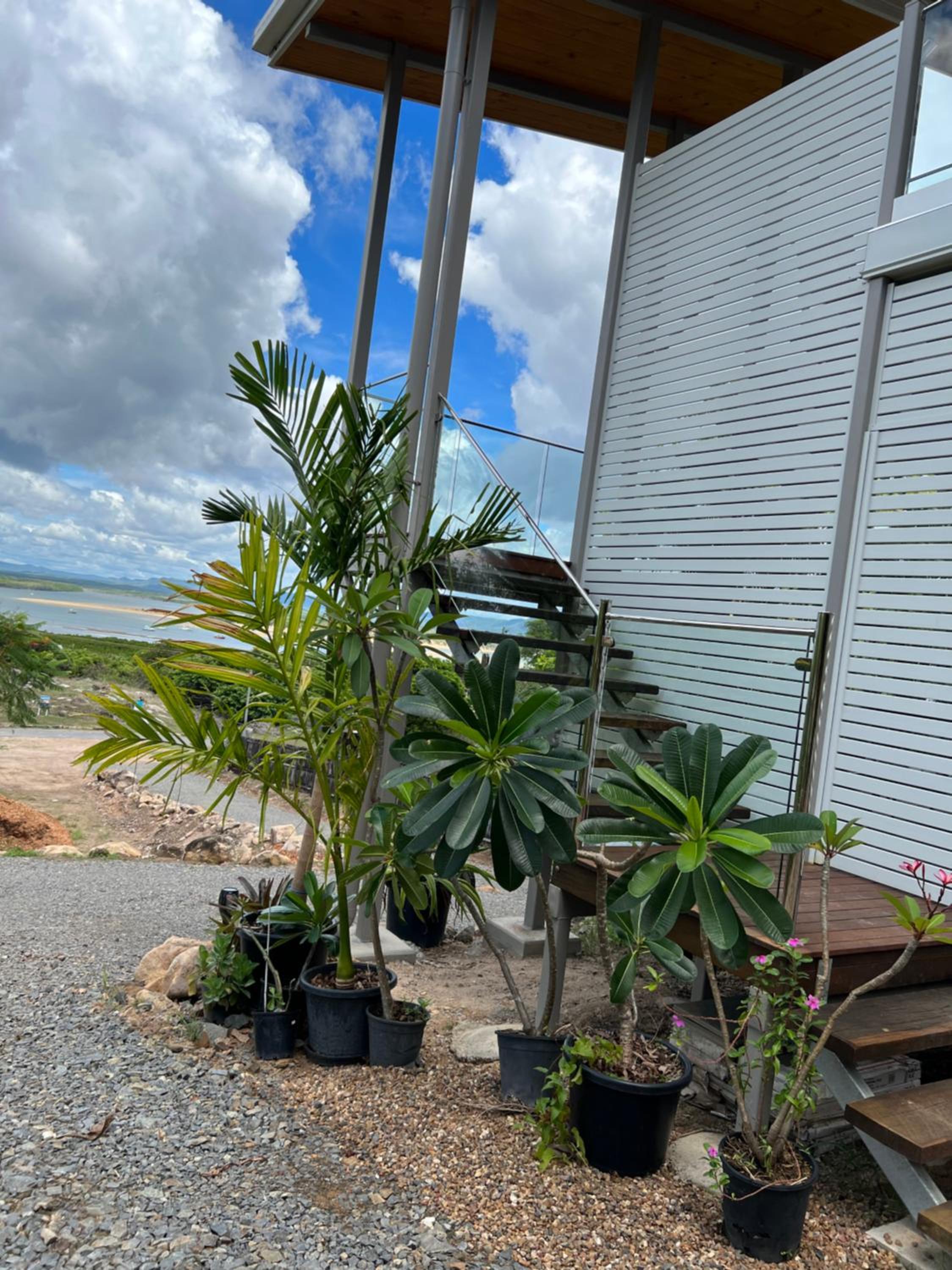 The Frangipani Suite - One bedroom apartment in Cooktown