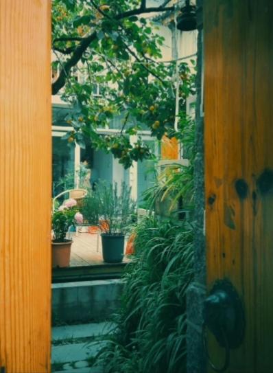 Honglin Houseg虹林的小院 防疫整栋 古城里温馨私家小院 享受大理慢时光 树下喝茶聊天 烧烤娱乐自助厨房 休闲好去处 view 5