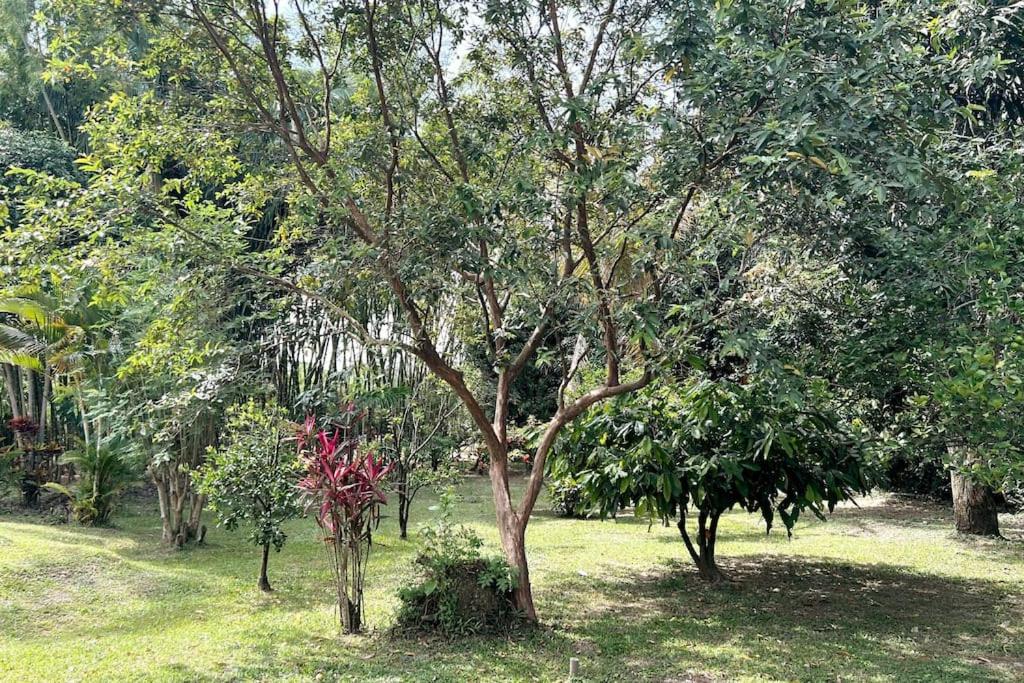 Casa campestre con piscina y jacuzzi cerca a Ginebra Valle del Cauca