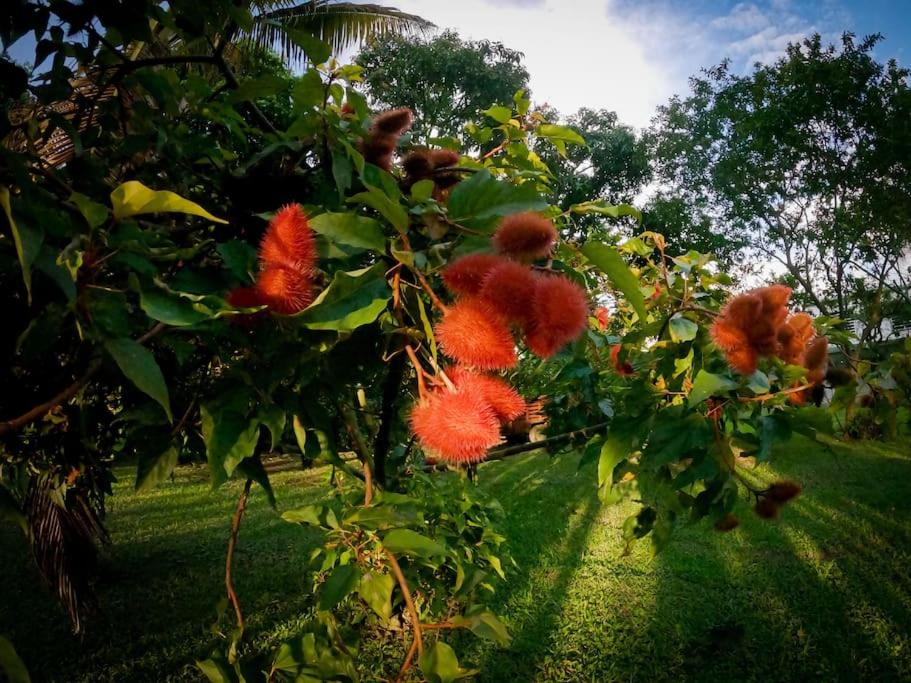 Casa campestre con piscina y jacuzzi cerca a Ginebra Valle del Cauca