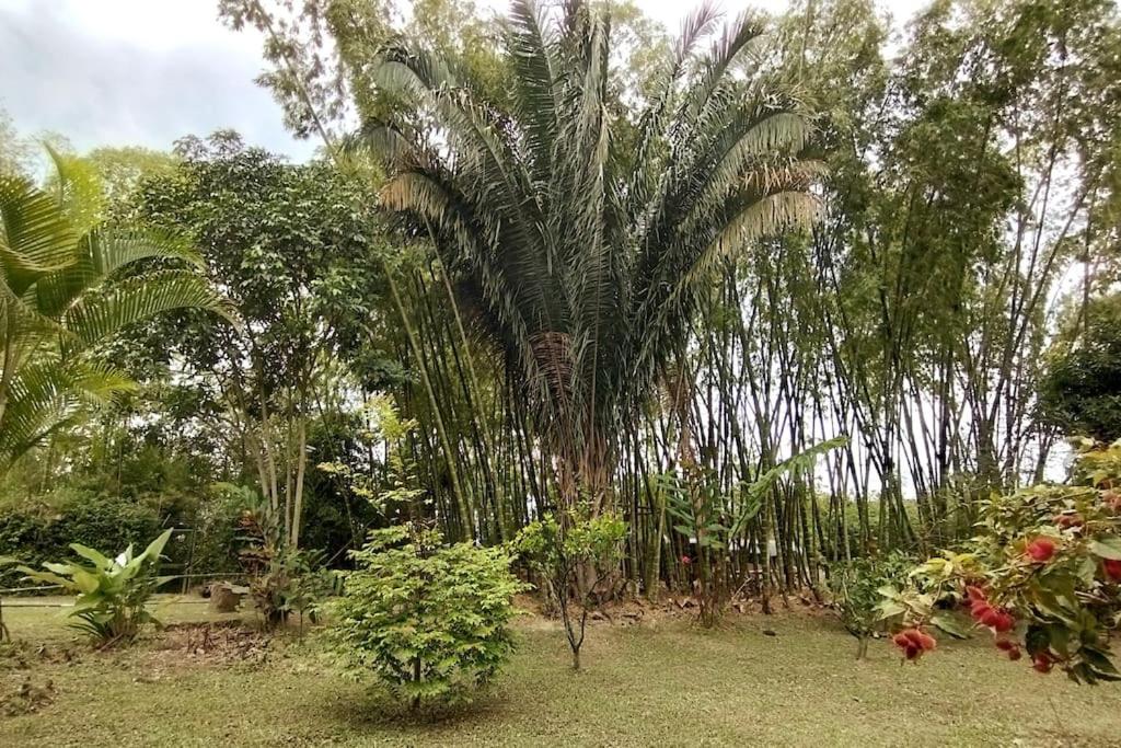 Casa campestre con piscina y jacuzzi cerca a Ginebra Valle del Cauca