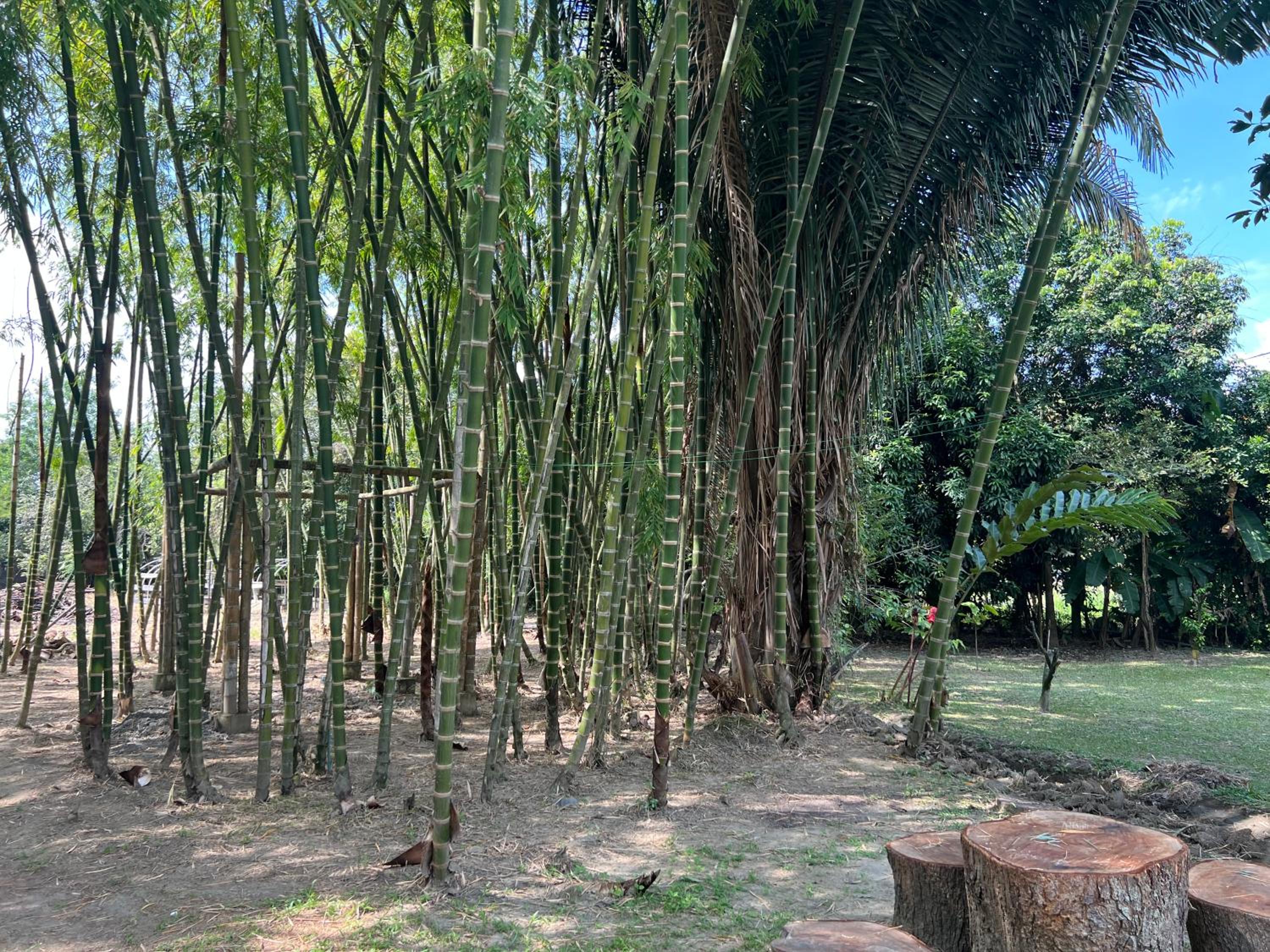 Casa campestre con piscina y jacuzzi cerca a Ginebra Valle del Cauca