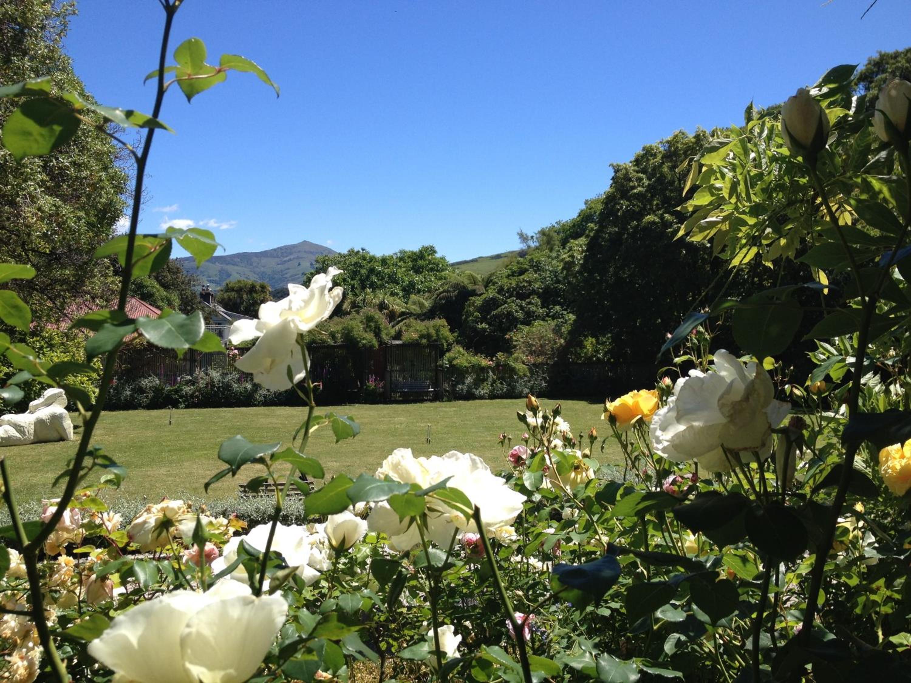 Photo 42