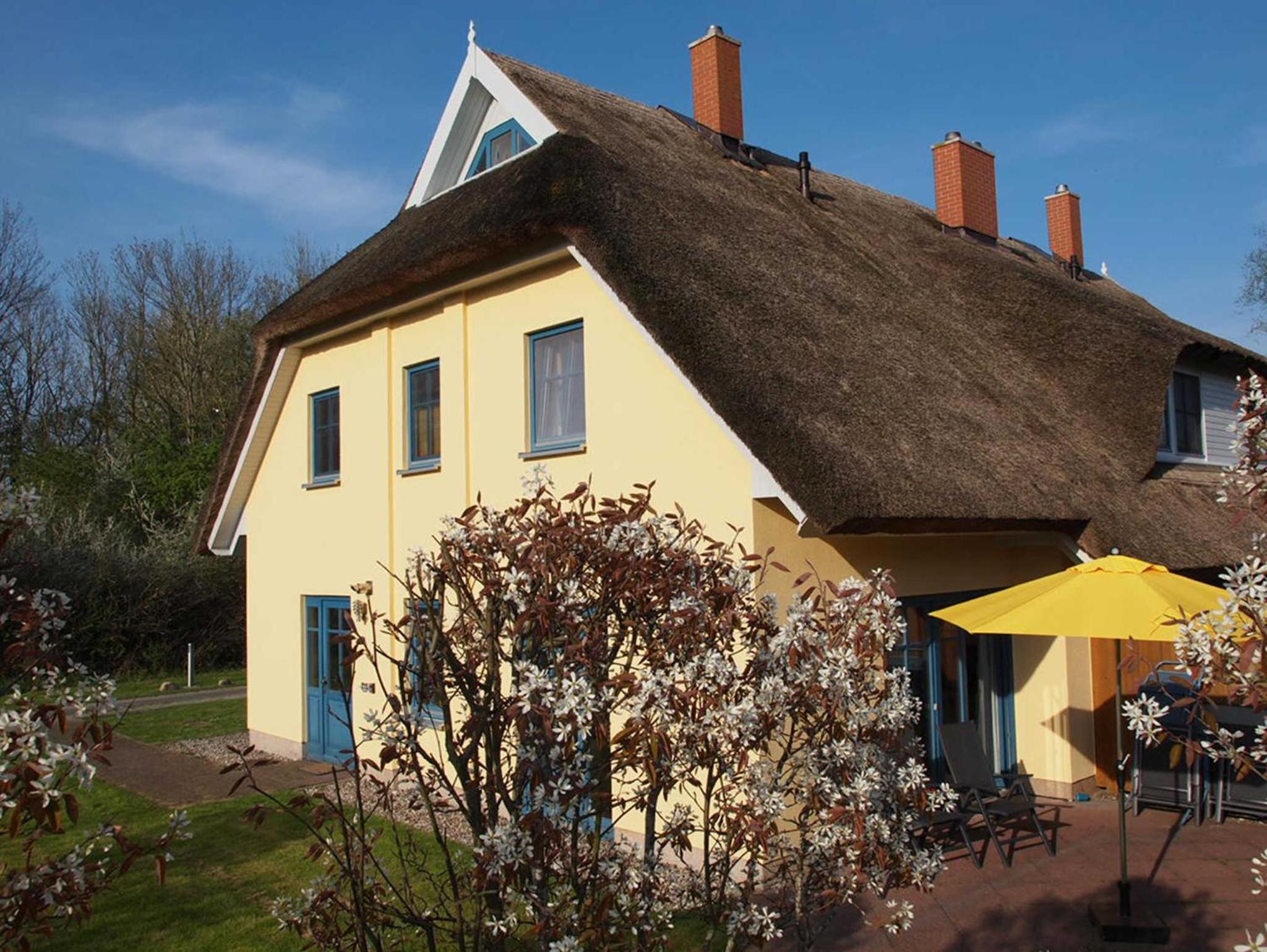 Sonniges Reetdachhaus