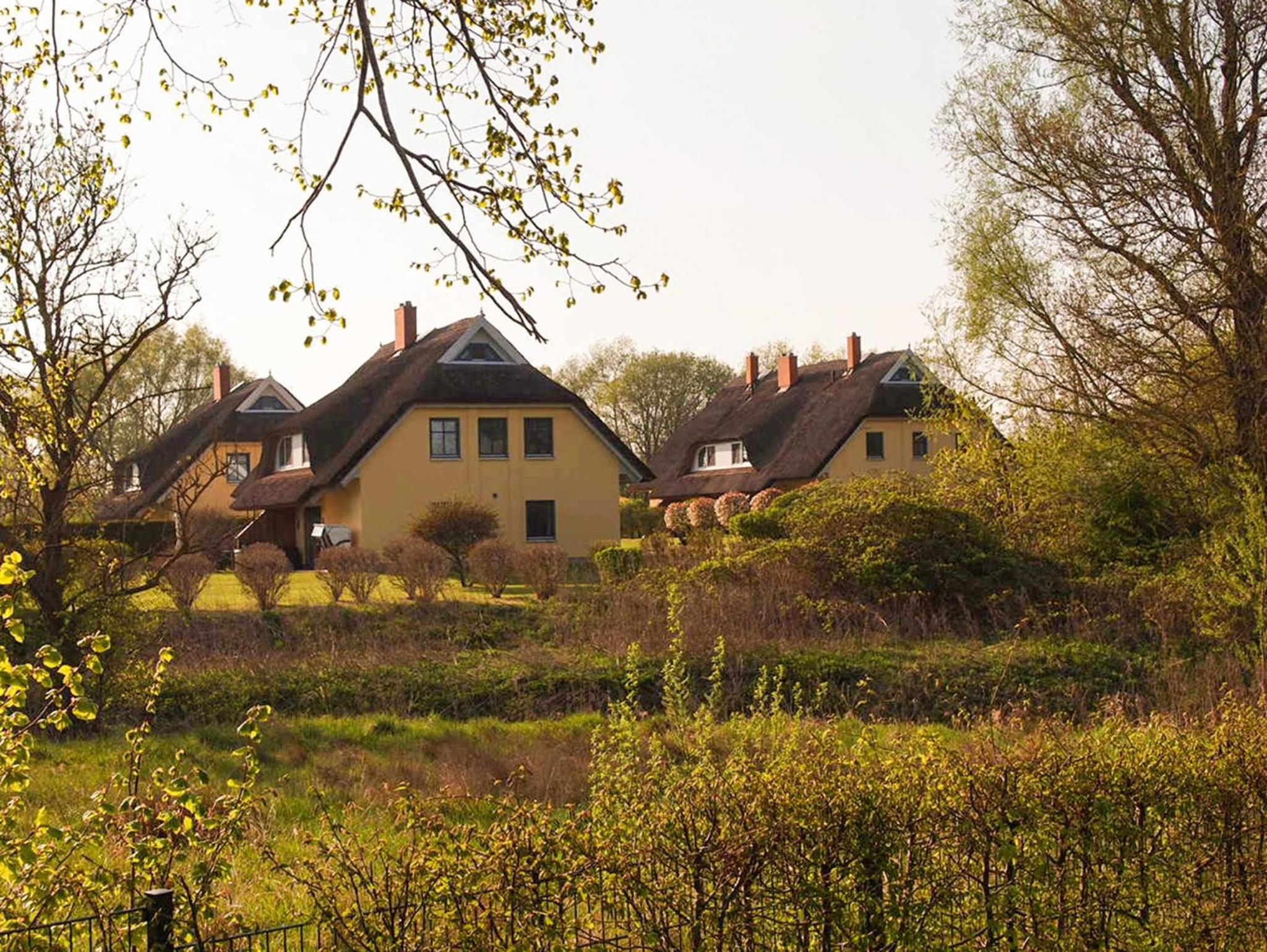 Sonniges Reetdachhaus