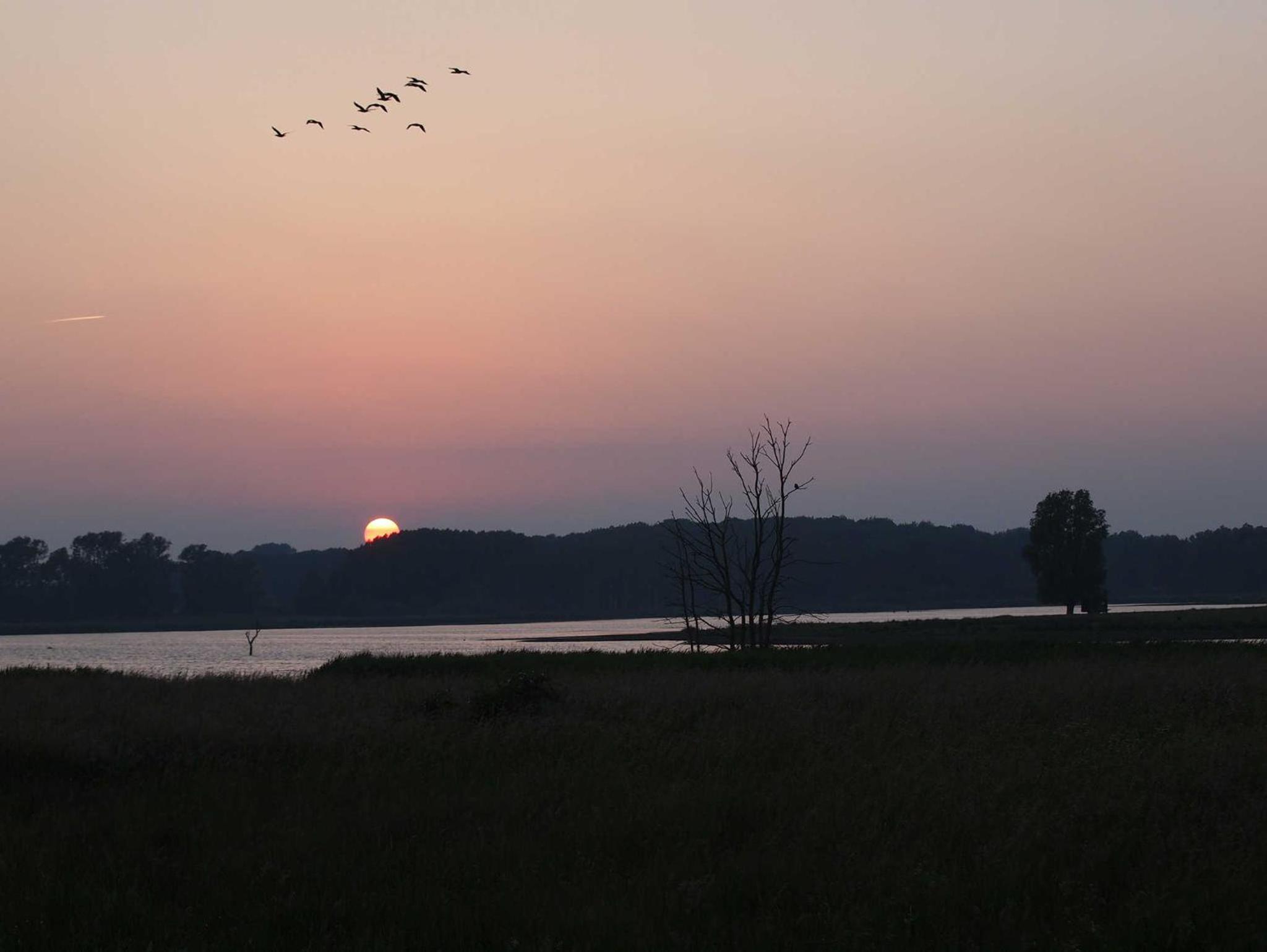 Sonniges Reetdachhaus
