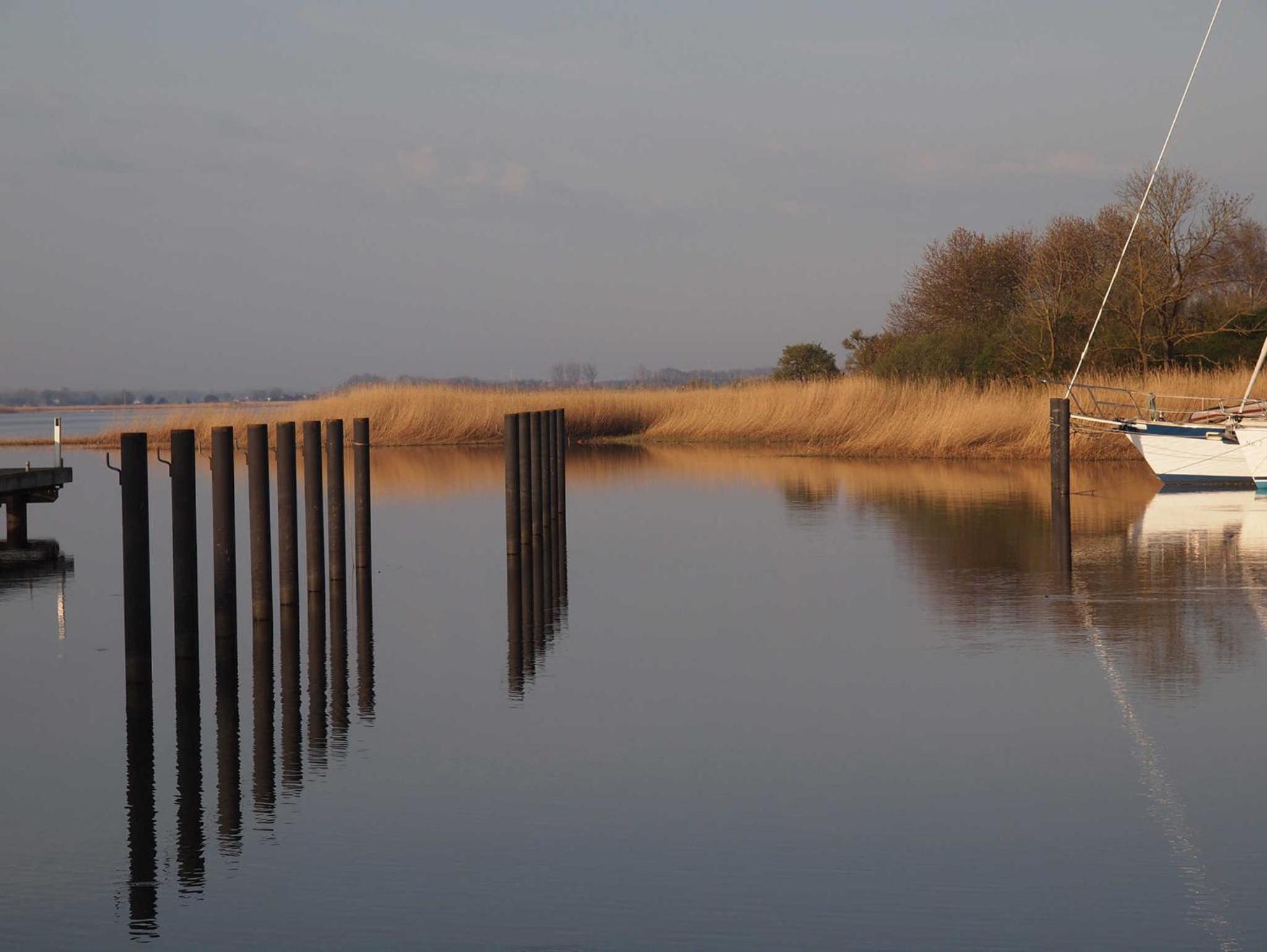 Sonniges Reetdachhaus