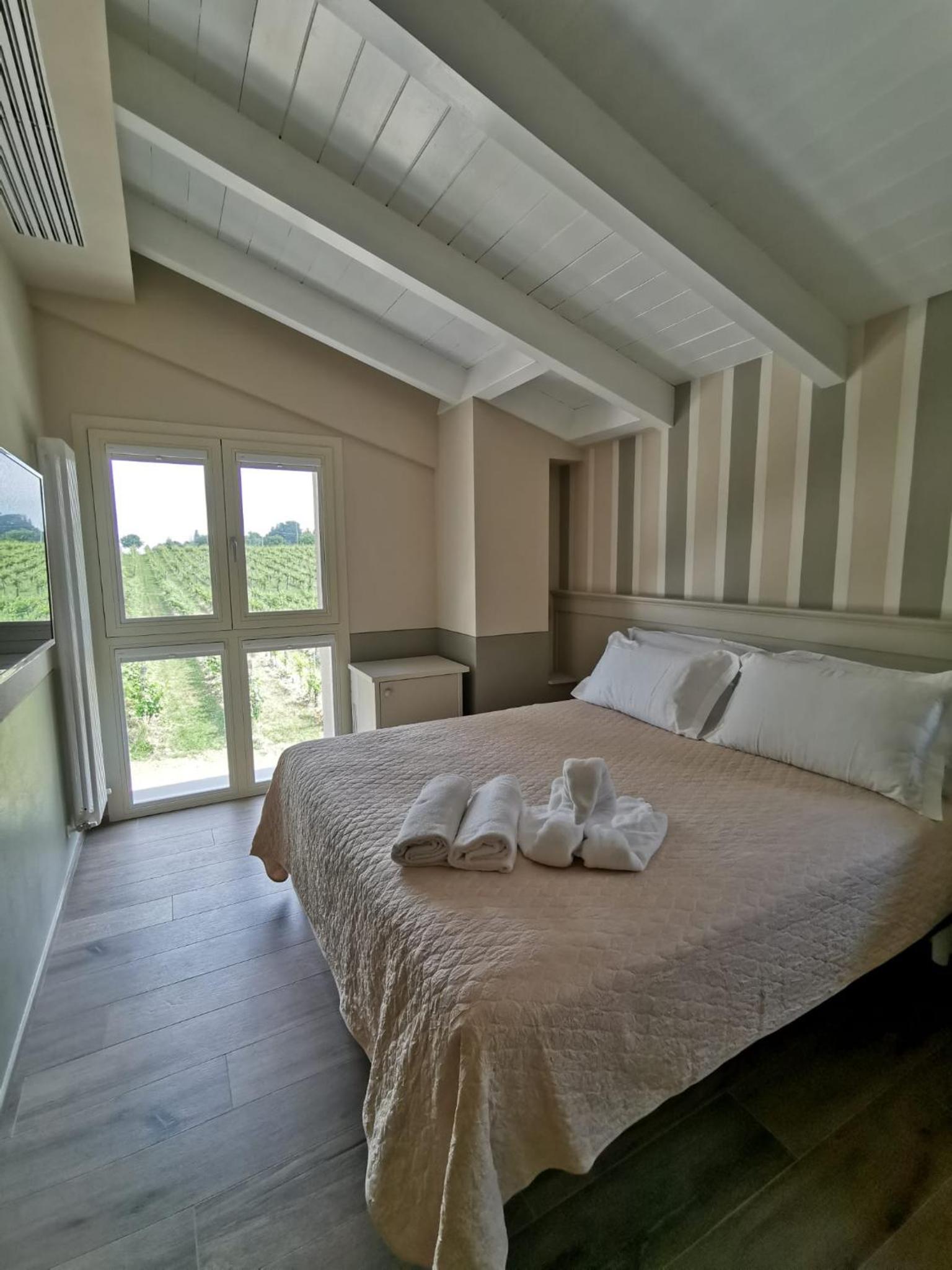 Agriturismo e Acetaia la Vedetta view 2