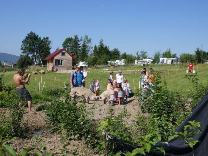 Photo 47