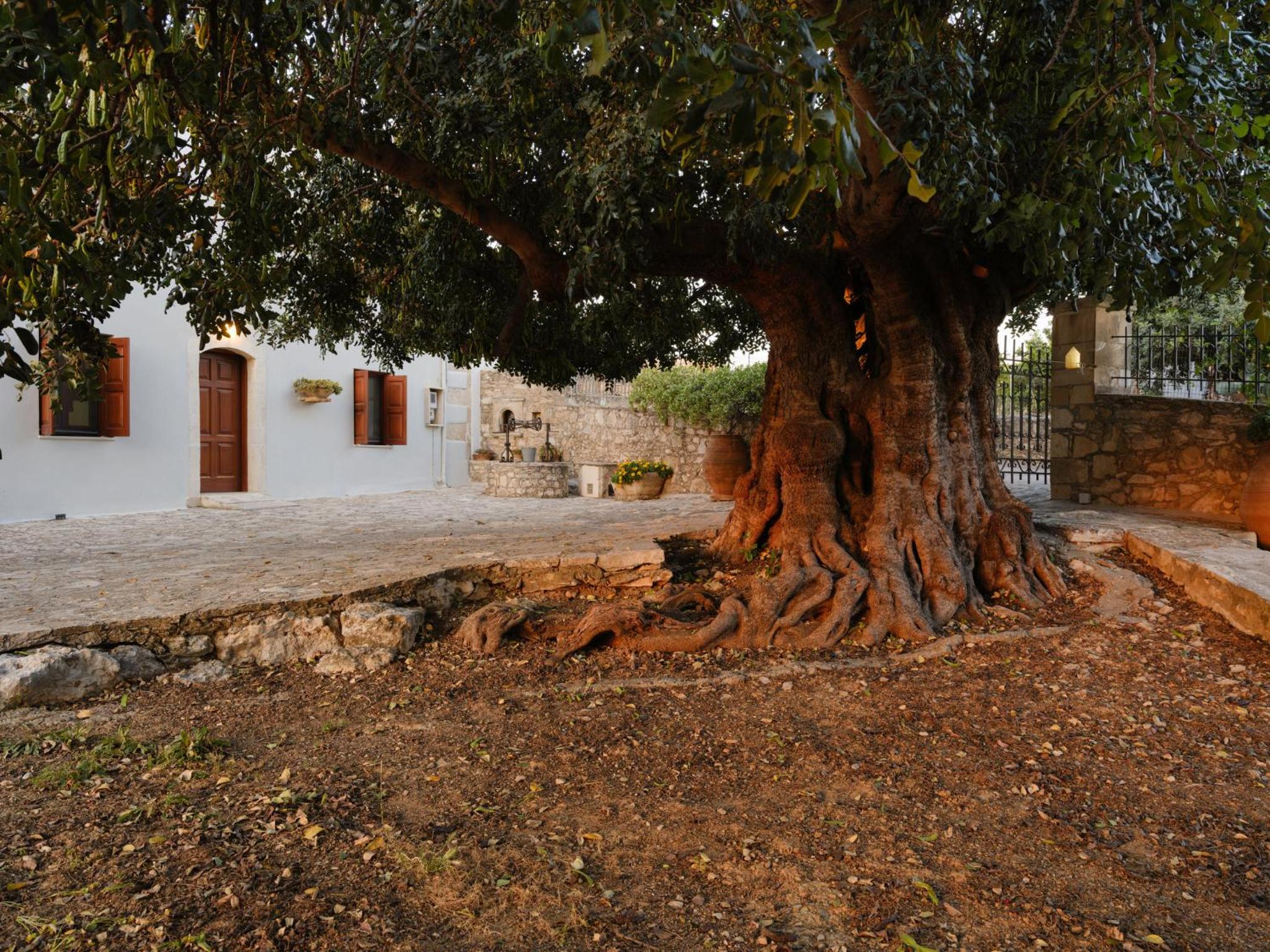 Photo 44